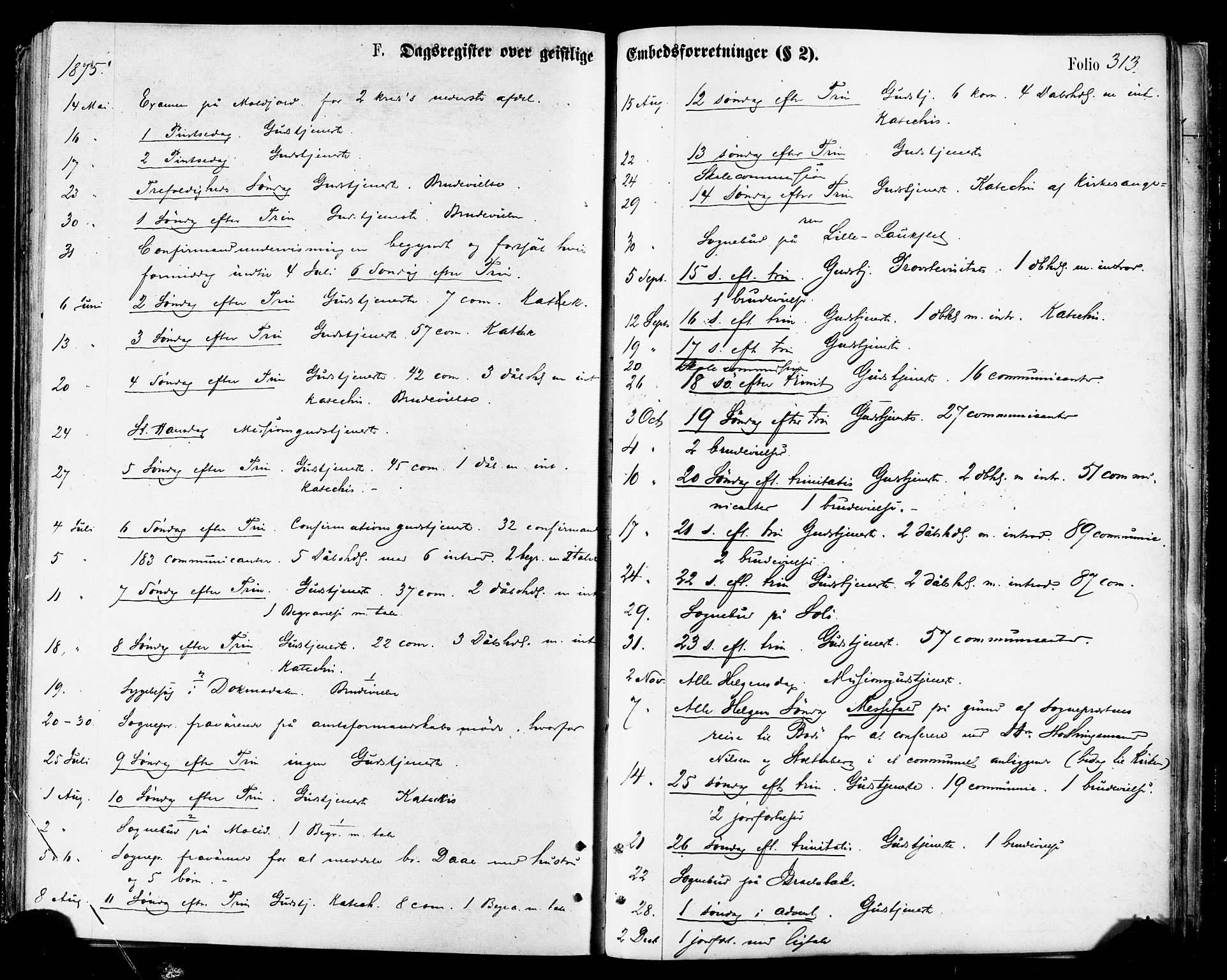 Ministerialprotokoller, klokkerbøker og fødselsregistre - Nordland, AV/SAT-A-1459/846/L0645: Ministerialbok nr. 846A03, 1872-1886, s. 313