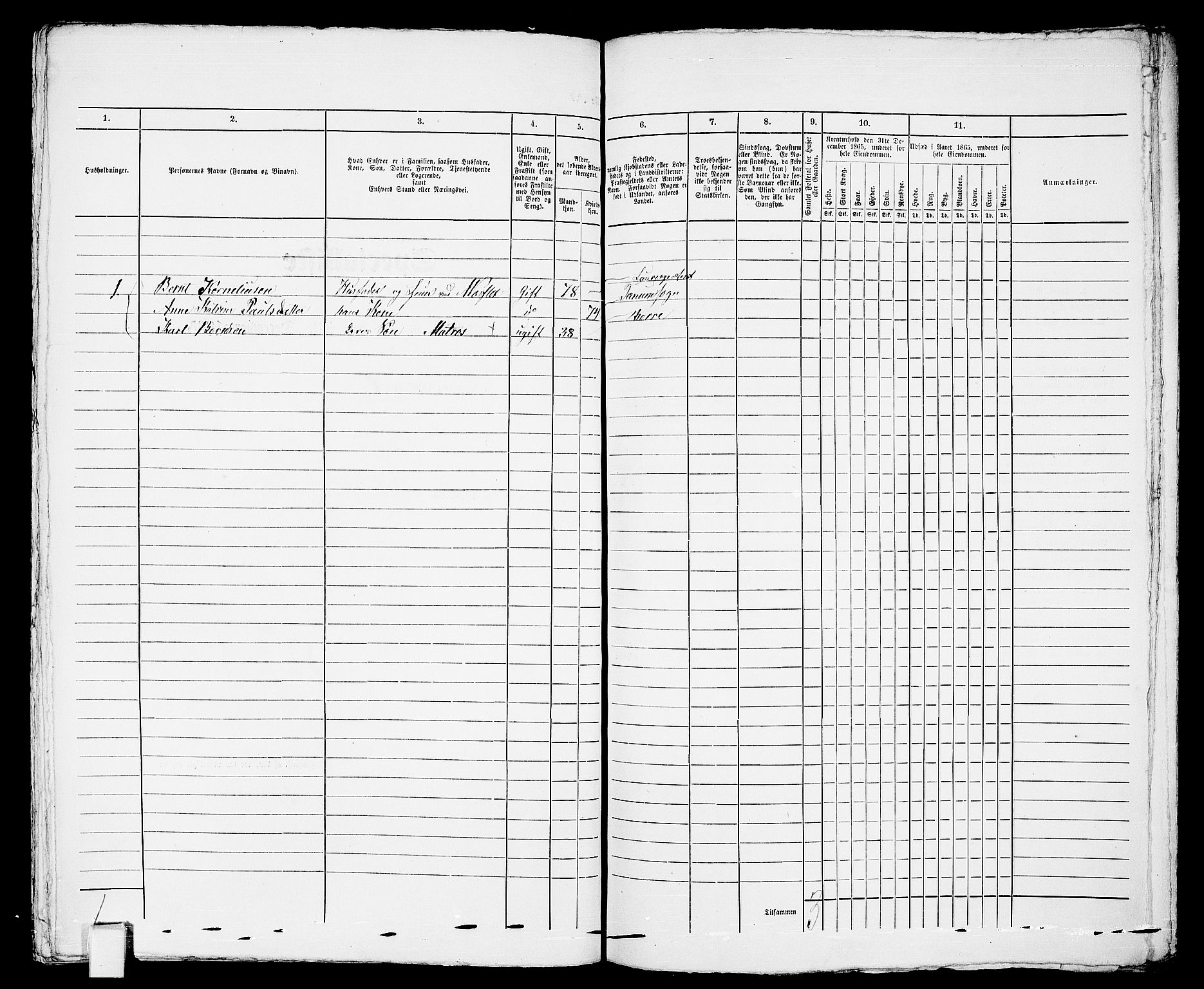 RA, Folketelling 1865 for 0703 Horten ladested, 1865, s. 358