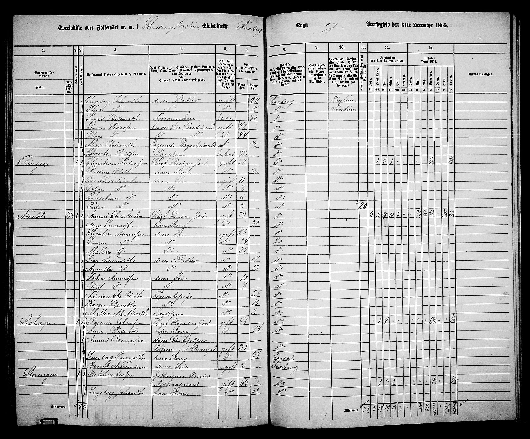 RA, Folketelling 1865 for 0524L Fåberg prestegjeld, Fåberg sokn og Lillehammer landsokn, 1865, s. 243