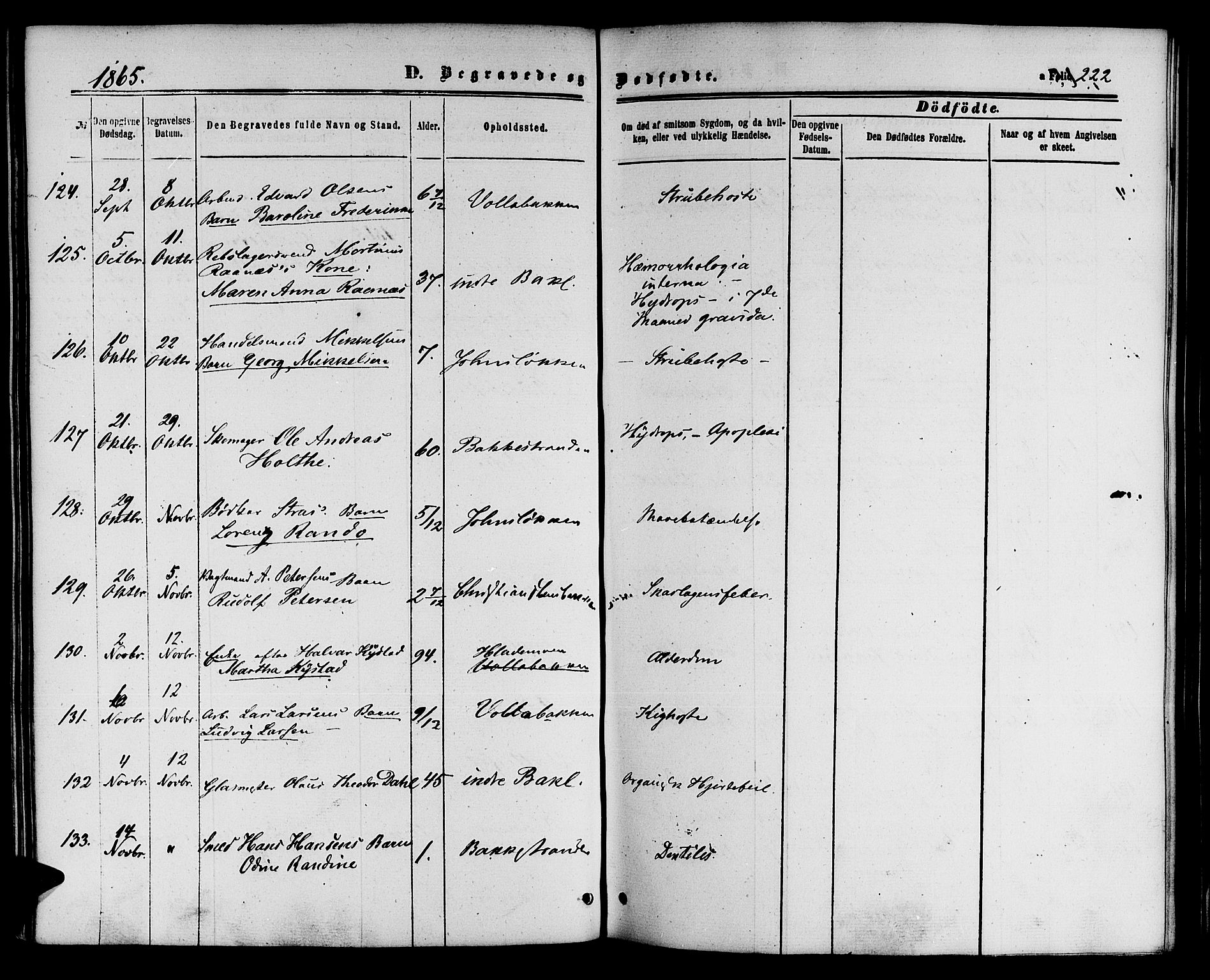 Ministerialprotokoller, klokkerbøker og fødselsregistre - Sør-Trøndelag, AV/SAT-A-1456/604/L0185: Ministerialbok nr. 604A06, 1861-1865, s. 222