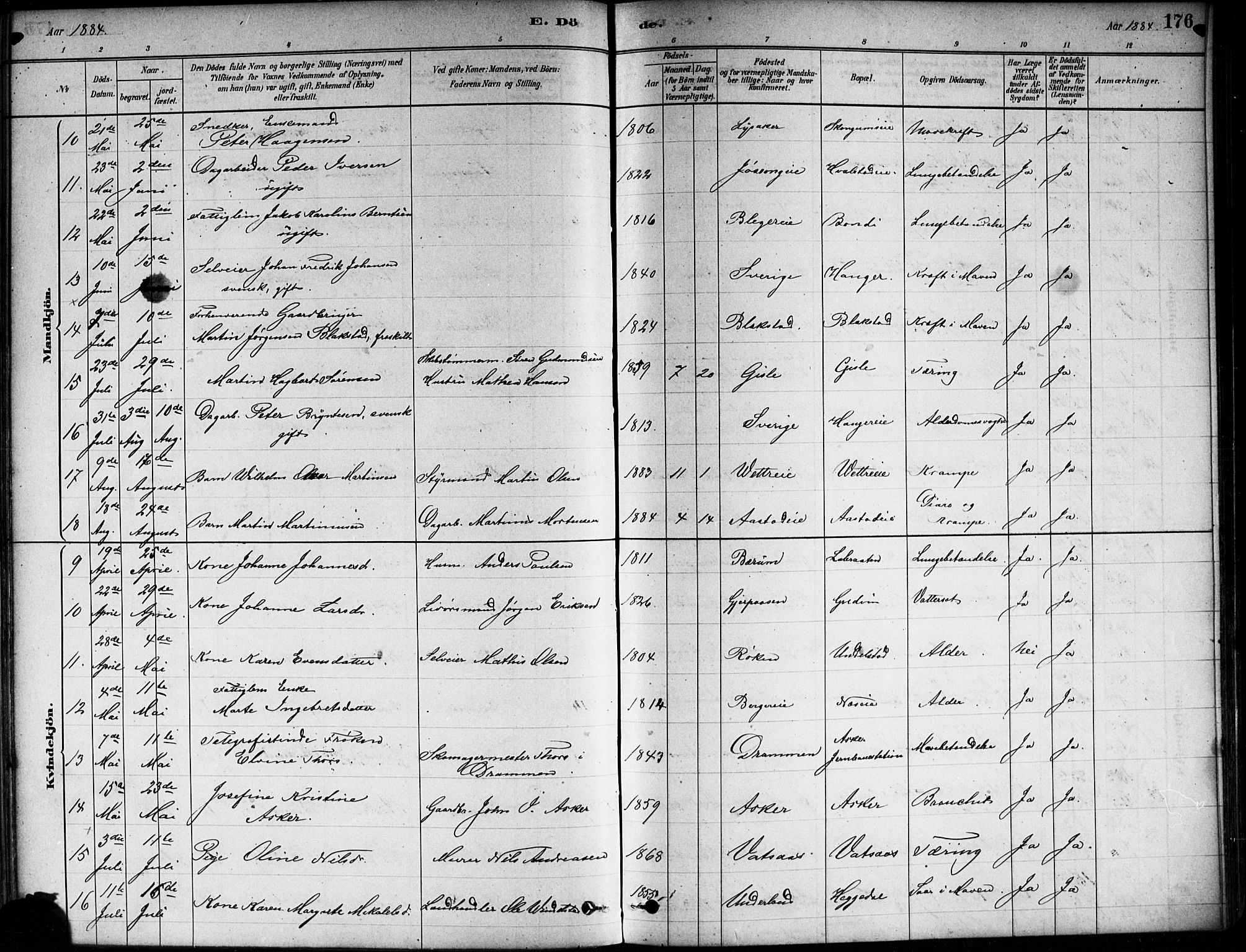 Asker prestekontor Kirkebøker, SAO/A-10256a/F/Fa/L0013: Ministerialbok nr. I 13, 1879-1896, s. 176