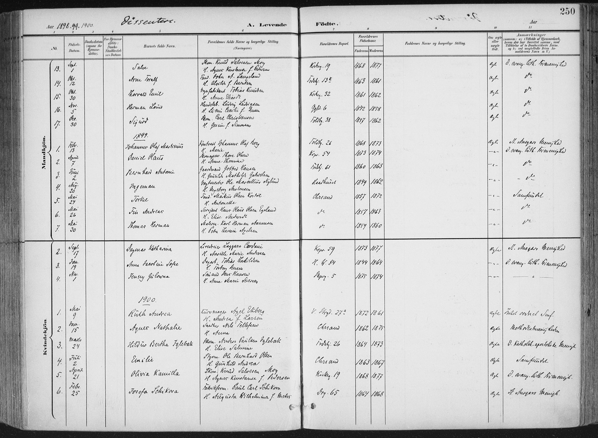 Kristiansand domprosti, SAK/1112-0006/F/Fa/L0021: Ministerialbok nr. A 20, 1898-1908, s. 250