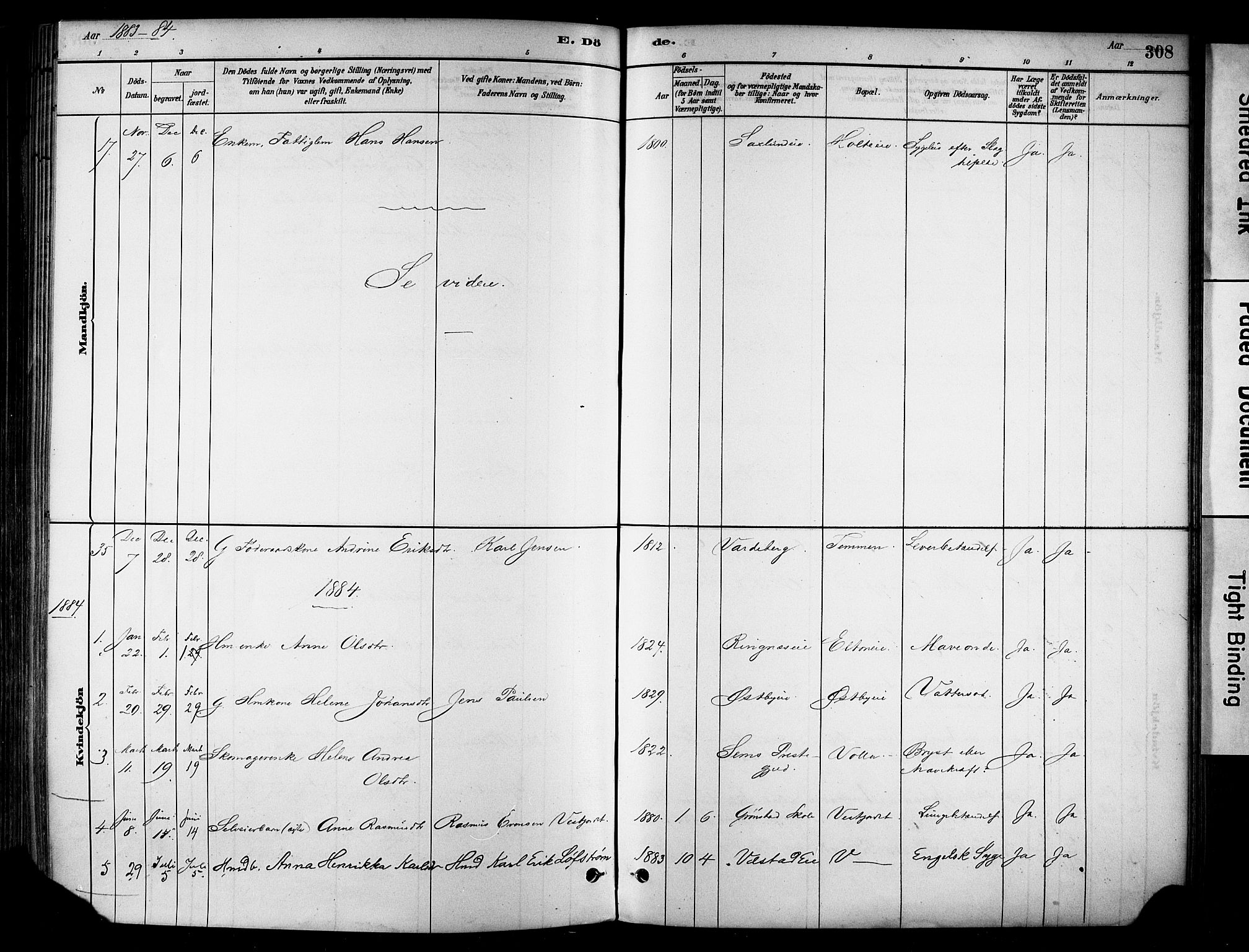 Stange prestekontor, SAH/PREST-002/K/L0017: Ministerialbok nr. 17, 1880-1893, s. 308