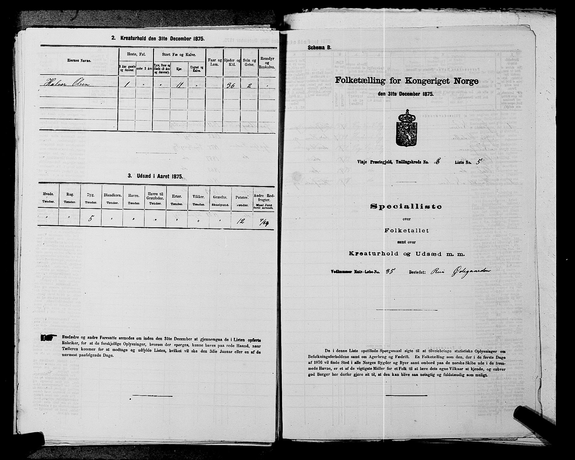 SAKO, Folketelling 1875 for 0834P Vinje prestegjeld, 1875, s. 223