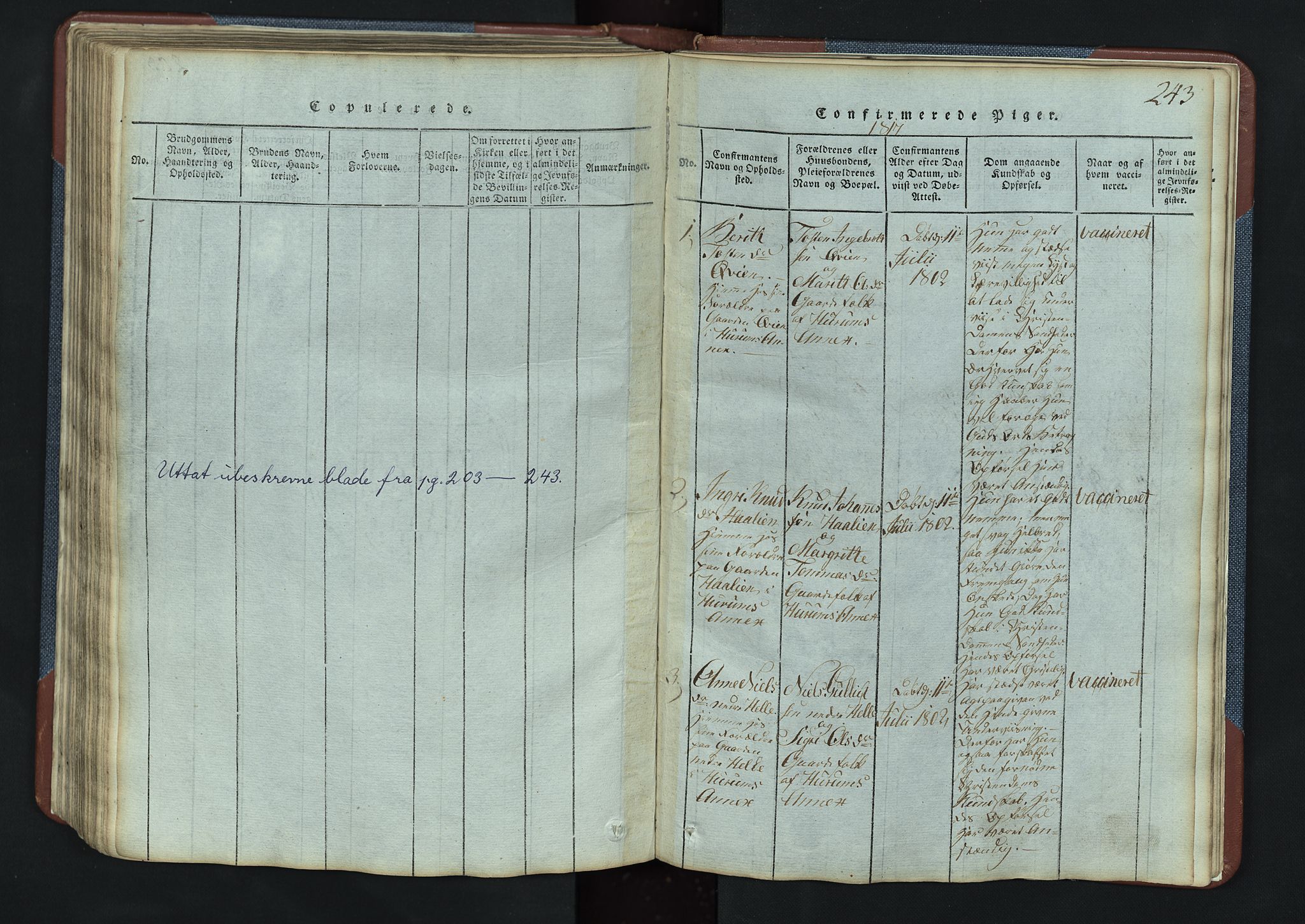 Vang prestekontor, Valdres, AV/SAH-PREST-140/H/Hb/L0003: Klokkerbok nr. 3, 1814-1892, s. 243