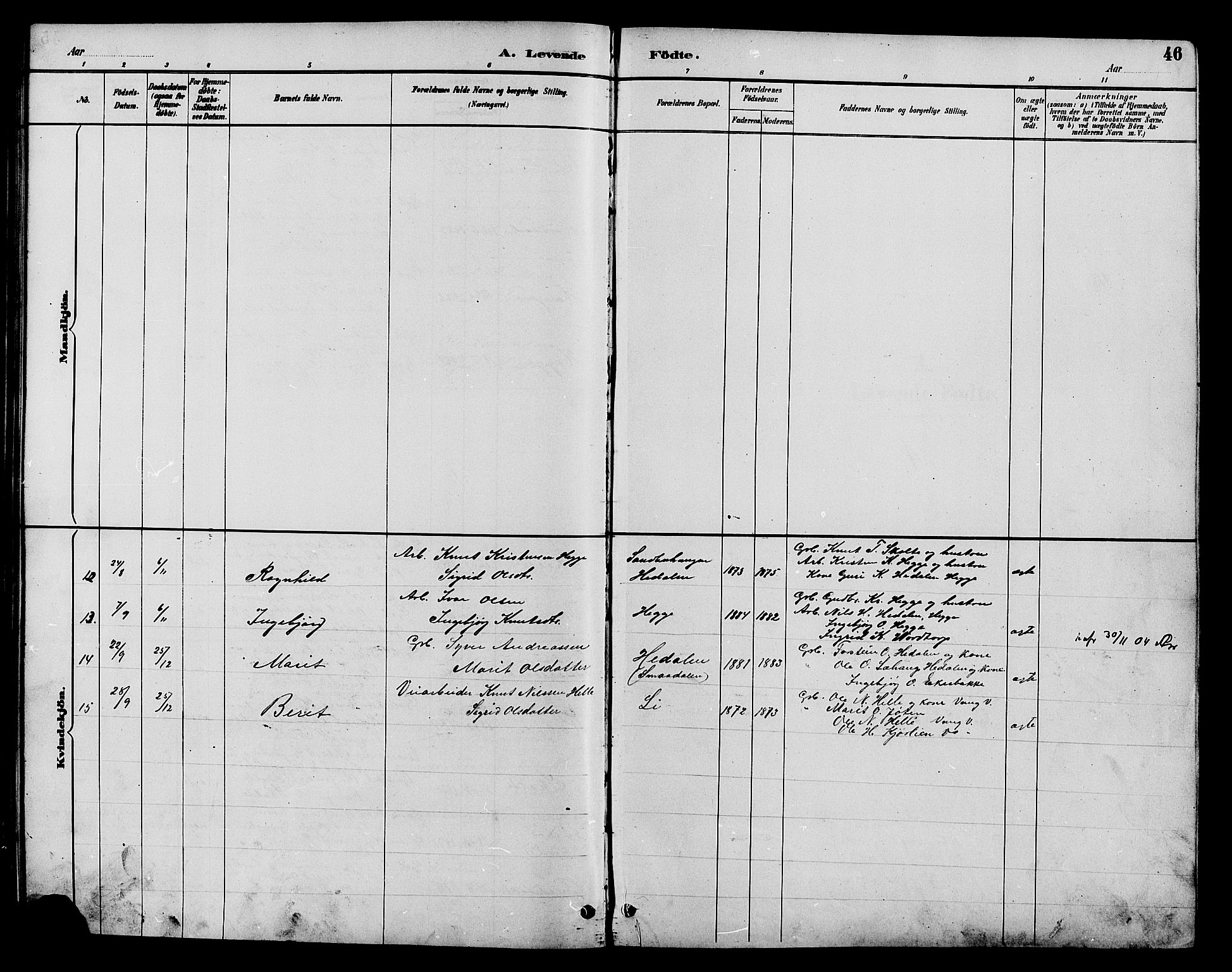 Øystre Slidre prestekontor, AV/SAH-PREST-138/H/Ha/Hab/L0004: Klokkerbok nr. 4, 1887-1907, s. 46