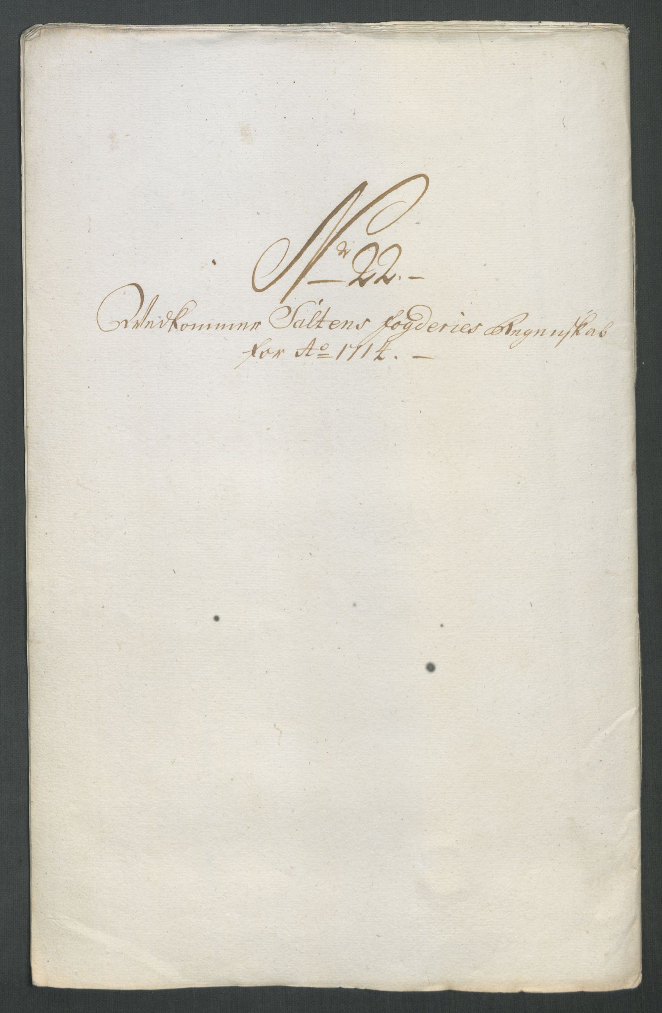 Rentekammeret inntil 1814, Reviderte regnskaper, Fogderegnskap, RA/EA-4092/R66/L4584: Fogderegnskap Salten, 1714, s. 200