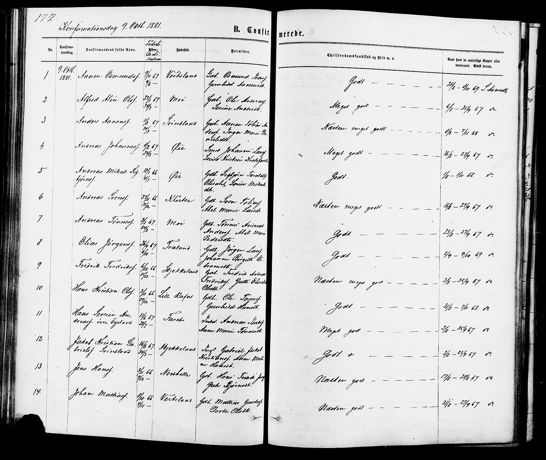 Kvinesdal sokneprestkontor, SAK/1111-0026/F/Fa/Fab/L0007: Ministerialbok nr. A 7, 1870-1885, s. 172