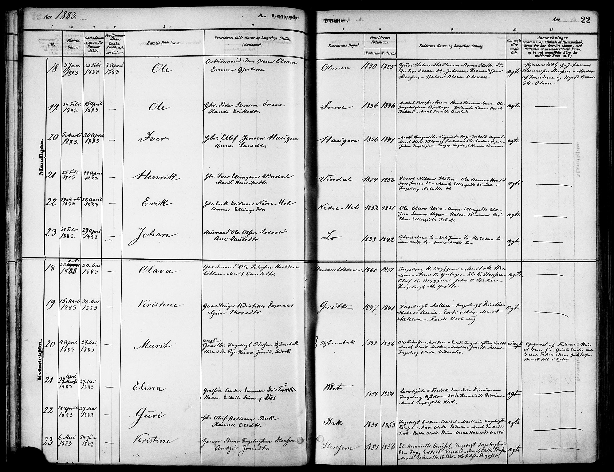 Ministerialprotokoller, klokkerbøker og fødselsregistre - Sør-Trøndelag, AV/SAT-A-1456/678/L0901: Ministerialbok nr. 678A10, 1881-1894, s. 22