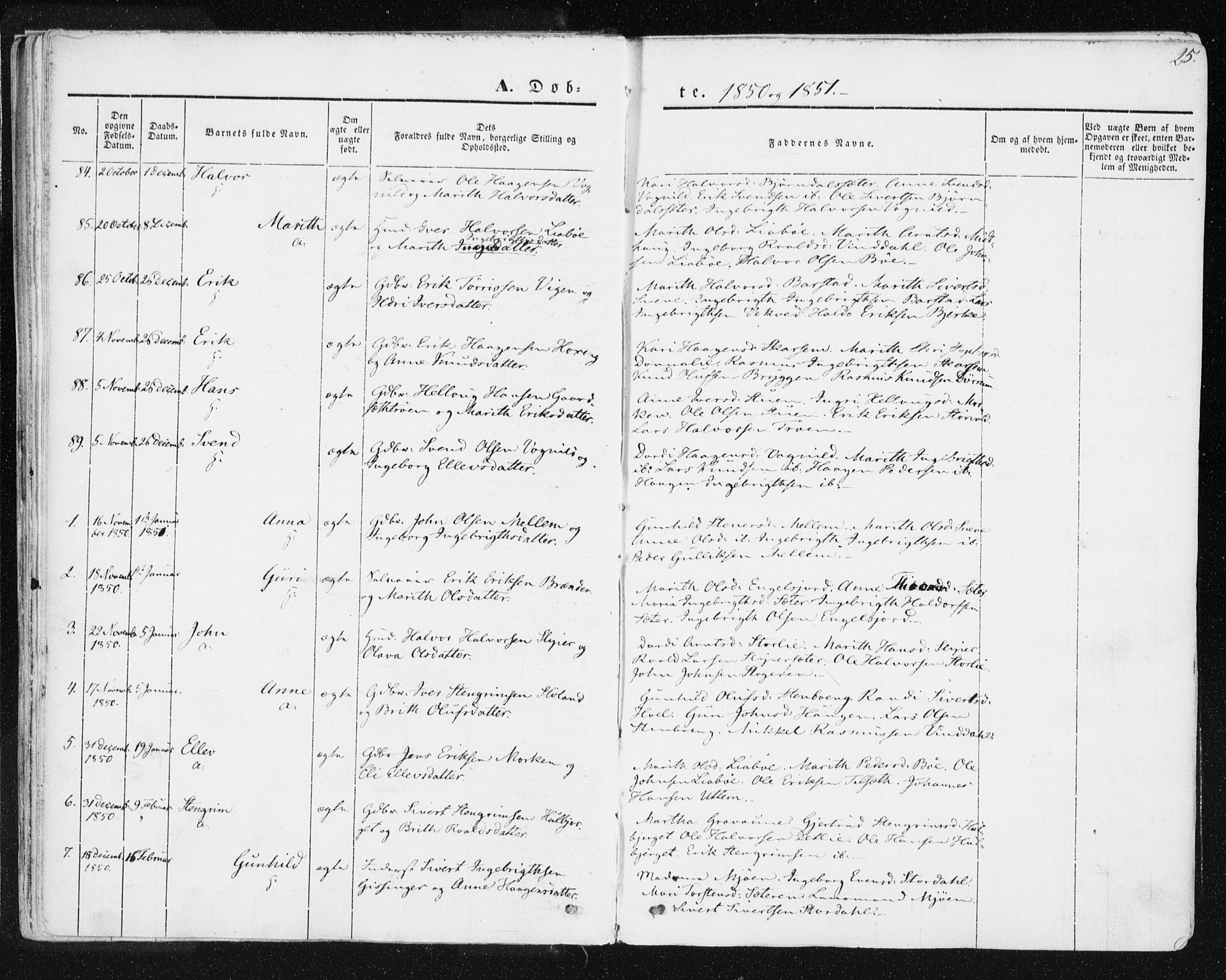 Ministerialprotokoller, klokkerbøker og fødselsregistre - Sør-Trøndelag, AV/SAT-A-1456/678/L0899: Ministerialbok nr. 678A08, 1848-1872, s. 25