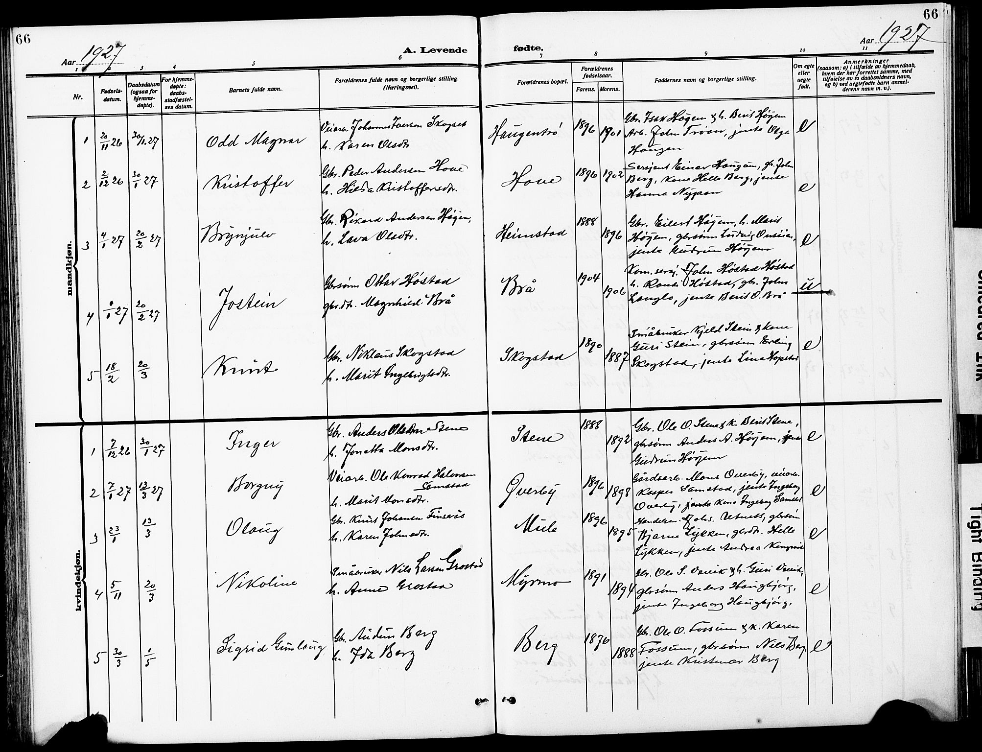 Ministerialprotokoller, klokkerbøker og fødselsregistre - Sør-Trøndelag, AV/SAT-A-1456/612/L0388: Klokkerbok nr. 612C04, 1909-1929, s. 66