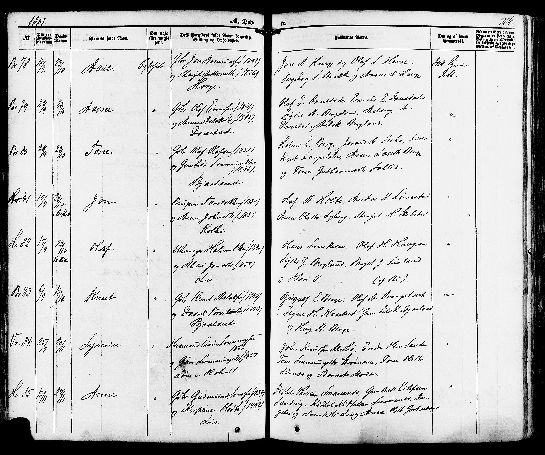 Kviteseid kirkebøker, AV/SAKO-A-276/F/Fa/L0007: Ministerialbok nr. I 7, 1859-1881, s. 206