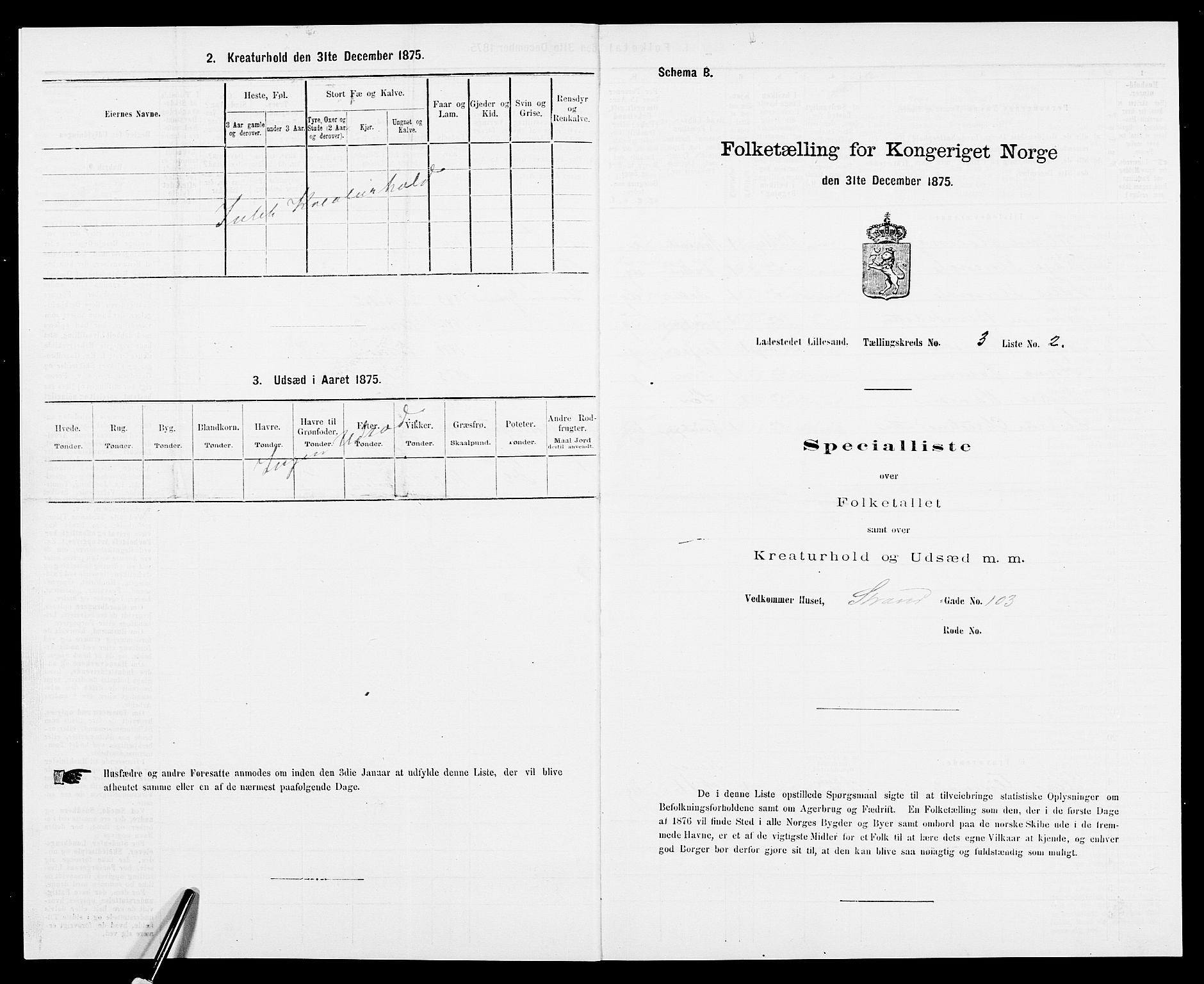 SAK, Folketelling 1875 for 0905B Vestre Moland prestegjeld, Lillesand ladested, 1875, s. 206