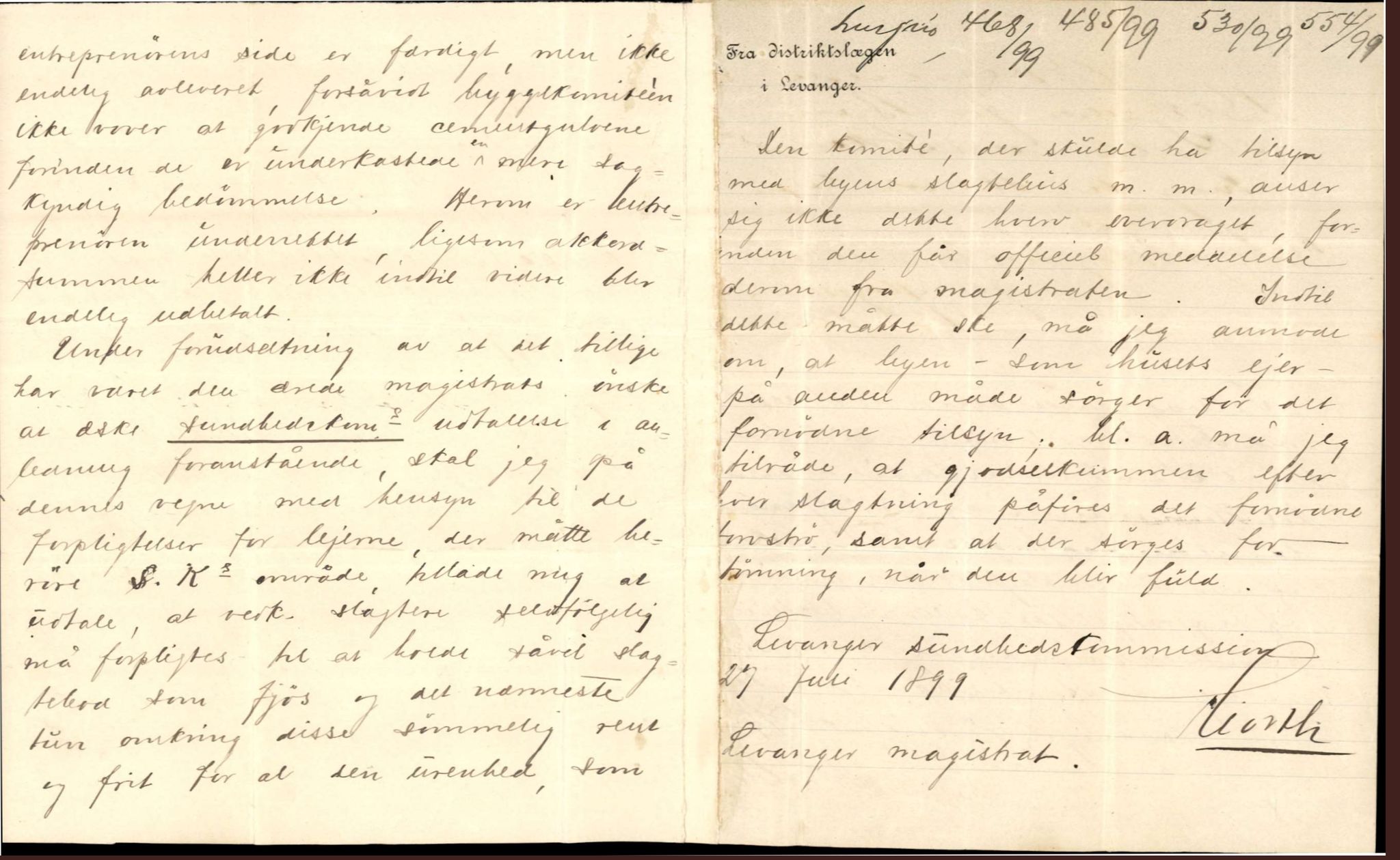 Bård Toldnes samling - lokalia fra Levanger, TIKA/PA-1549/F/L0010: Distriktslægen i Levanger - tilsyn med byens slagtehus, 1899