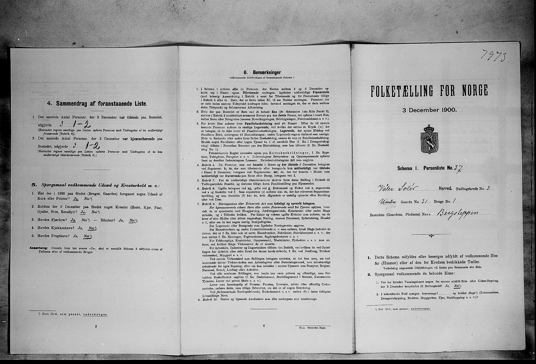 SAH, Folketelling 1900 for 0426 Våler herred, 1900, s. 429