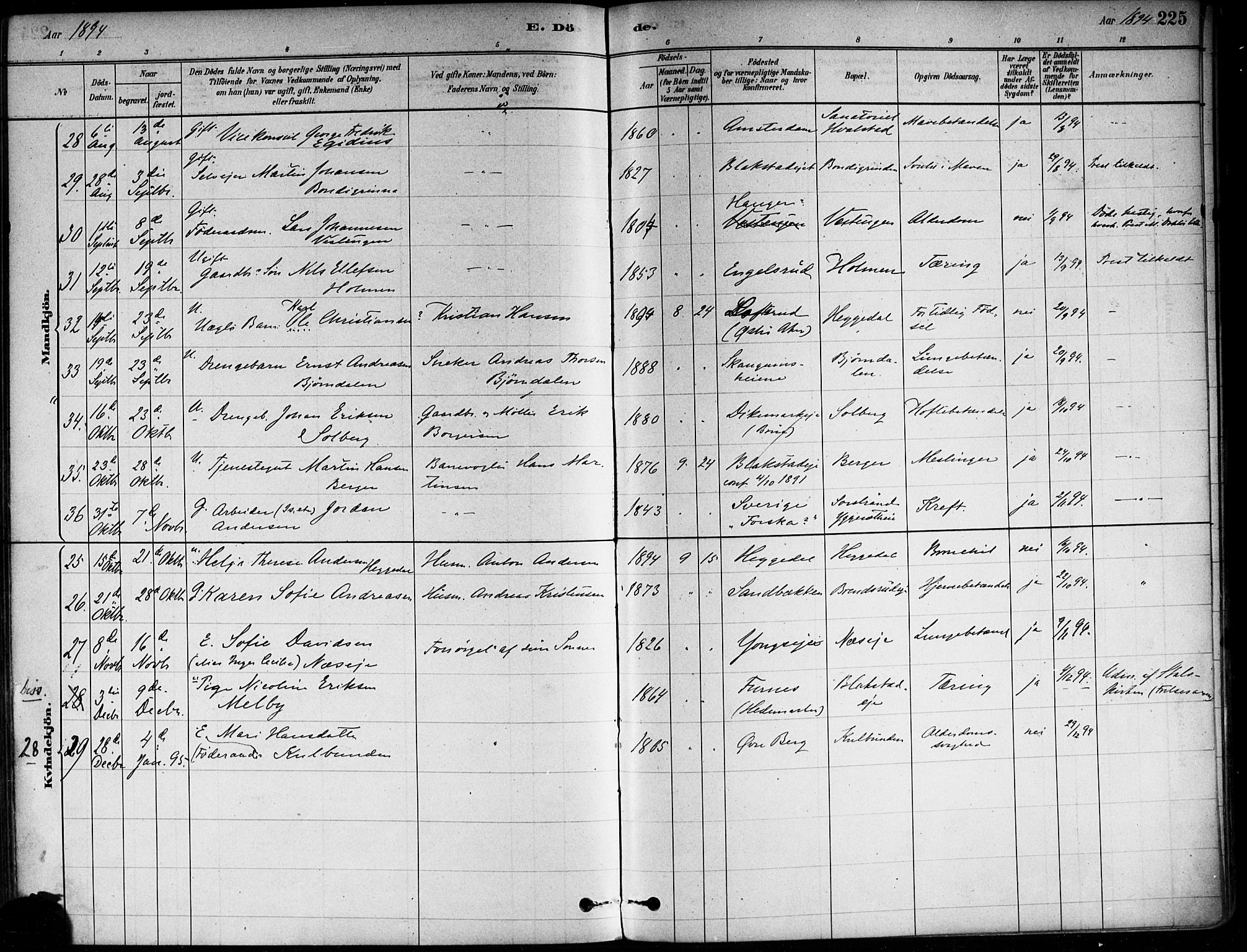 Asker prestekontor Kirkebøker, AV/SAO-A-10256a/F/Fa/L0013: Ministerialbok nr. I 13, 1879-1896, s. 225