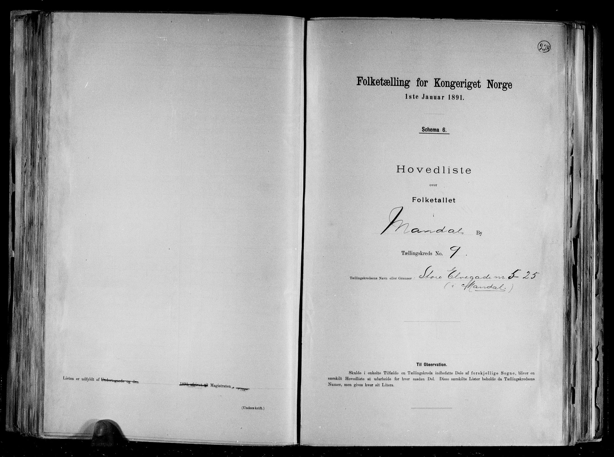 RA, Folketelling 1891 for 1002 Mandal ladested, 1891, s. 22