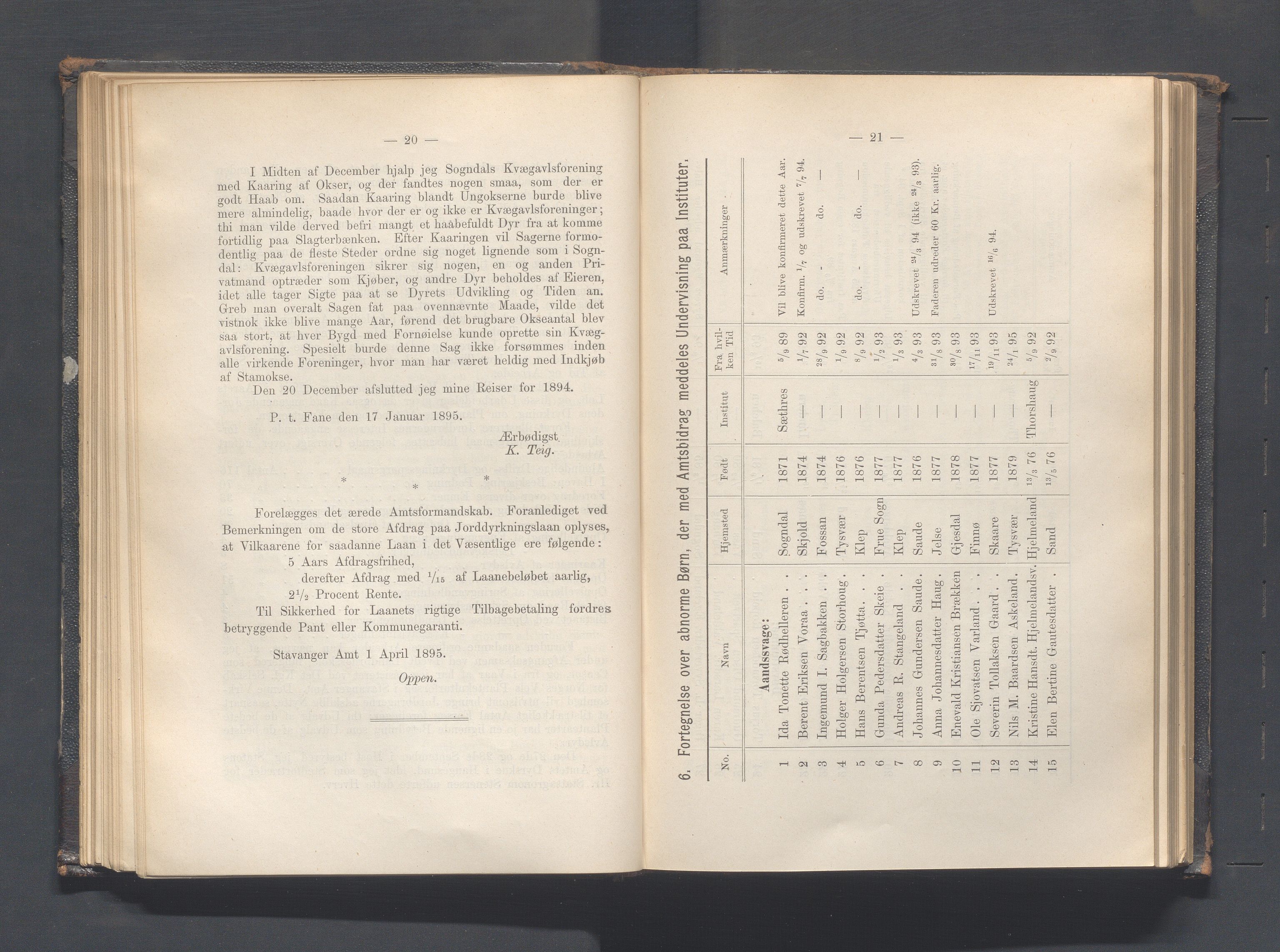 Rogaland fylkeskommune - Fylkesrådmannen , IKAR/A-900/A, 1895, s. 84