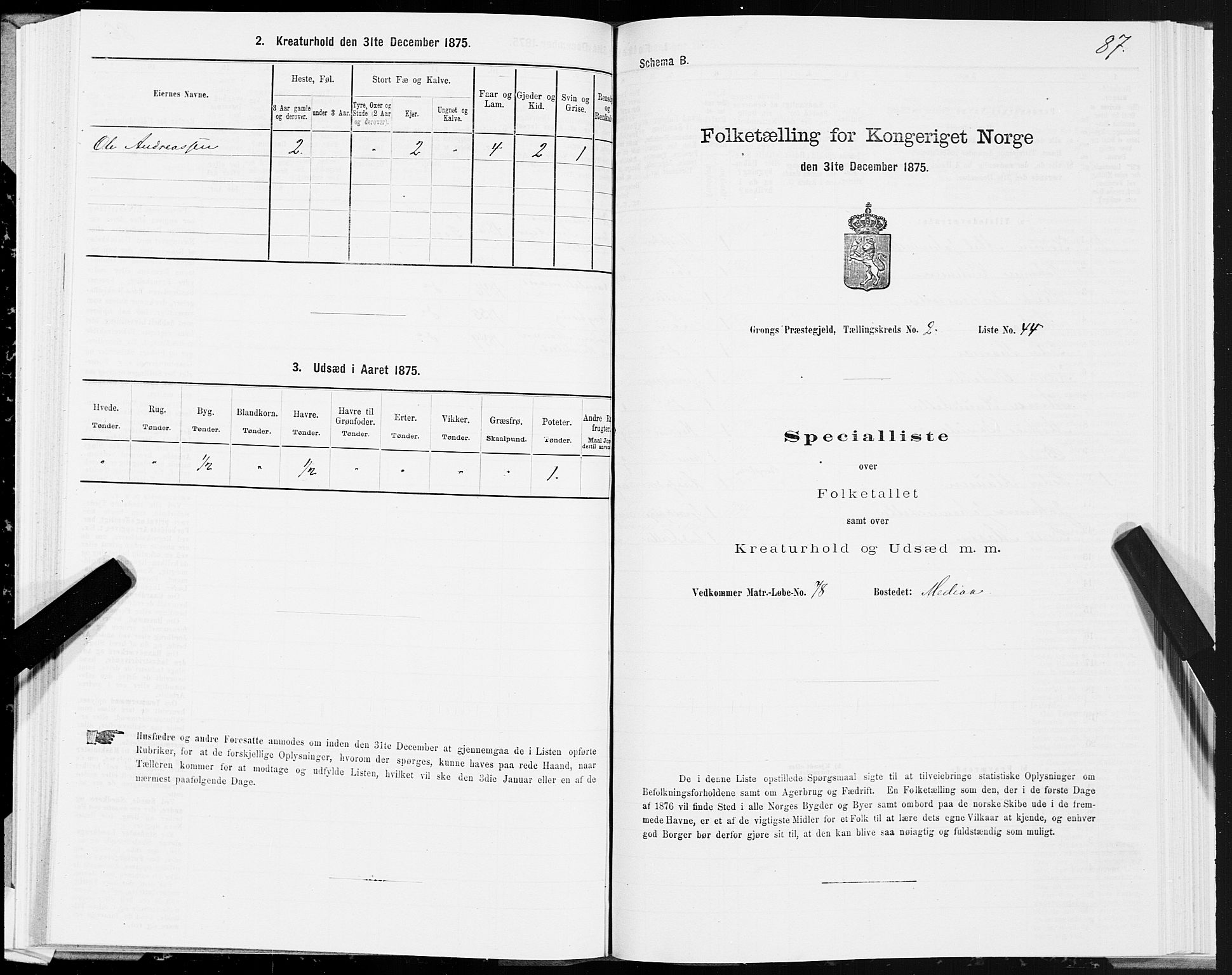 SAT, Folketelling 1875 for 1742P Grong prestegjeld, 1875, s. 2087