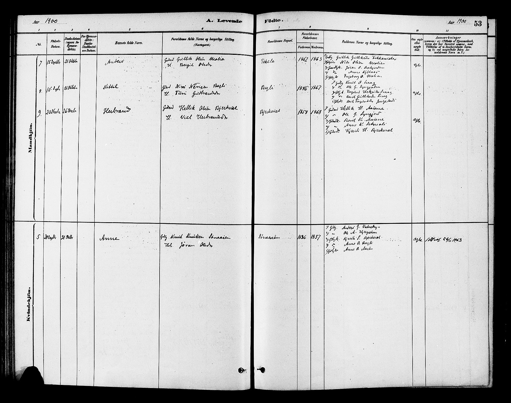 Flesberg kirkebøker, SAKO/A-18/F/Fc/L0001: Ministerialbok nr. III 1, 1879-1905, s. 53