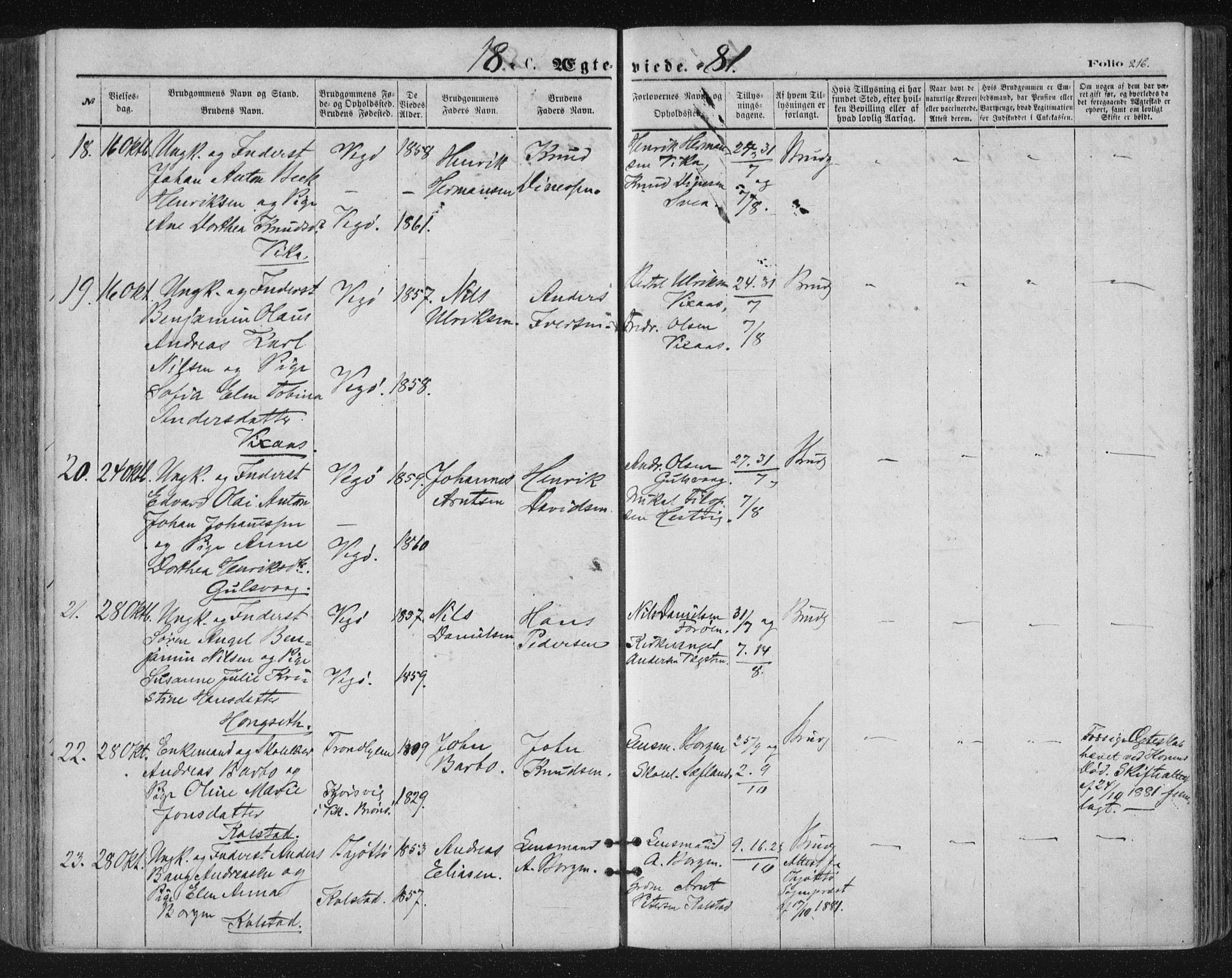 Ministerialprotokoller, klokkerbøker og fødselsregistre - Nordland, SAT/A-1459/816/L0241: Ministerialbok nr. 816A07, 1870-1885, s. 216