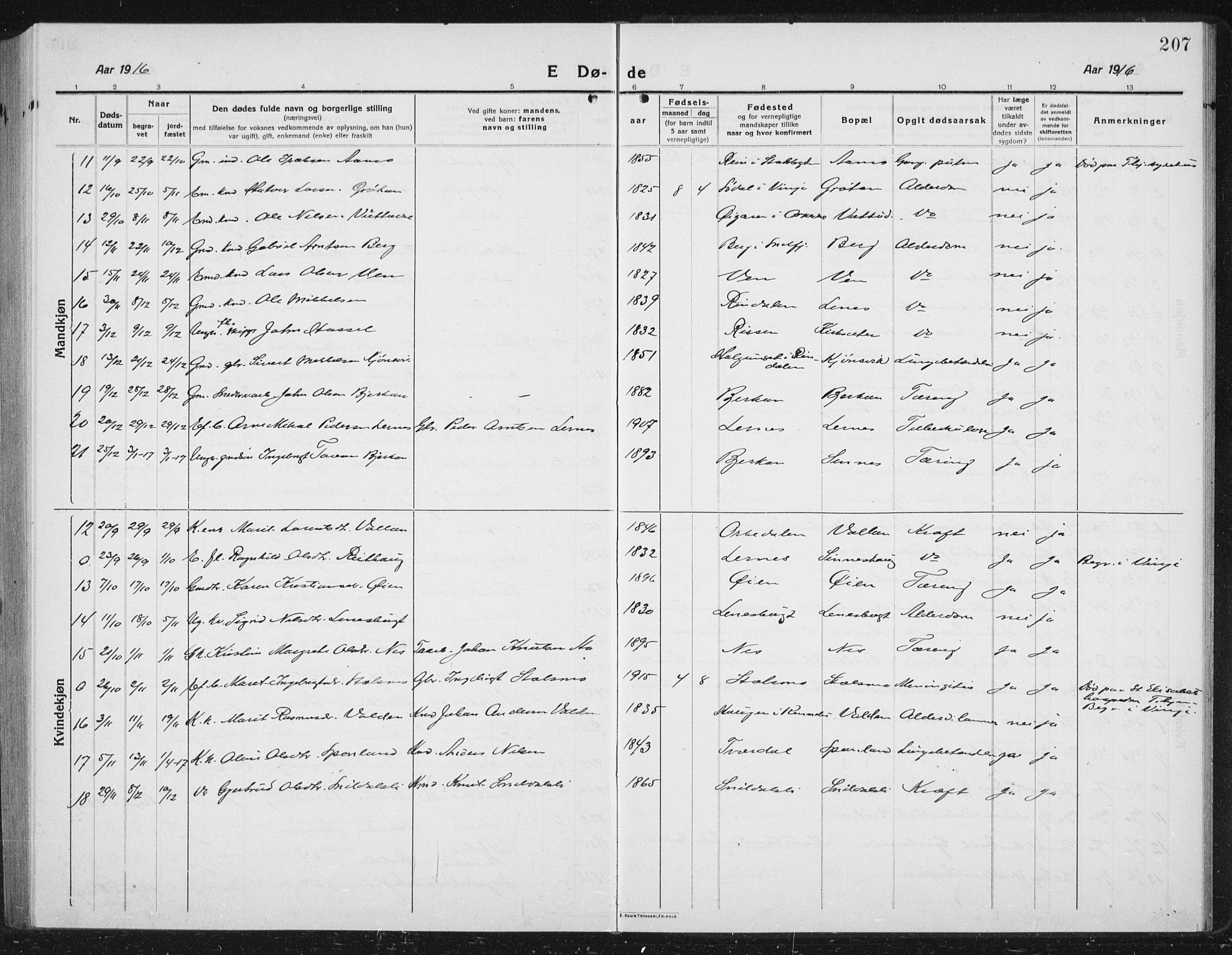 Ministerialprotokoller, klokkerbøker og fødselsregistre - Sør-Trøndelag, SAT/A-1456/630/L0506: Klokkerbok nr. 630C04, 1914-1933, s. 207