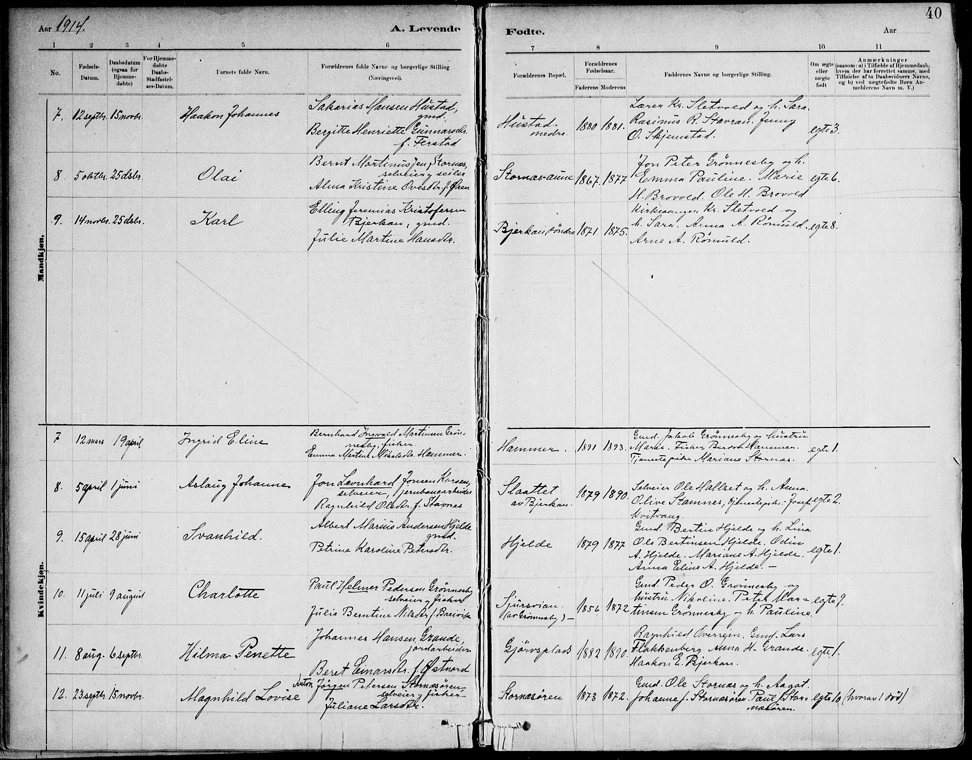 Ministerialprotokoller, klokkerbøker og fødselsregistre - Nord-Trøndelag, AV/SAT-A-1458/732/L0316: Ministerialbok nr. 732A01, 1879-1921, s. 40