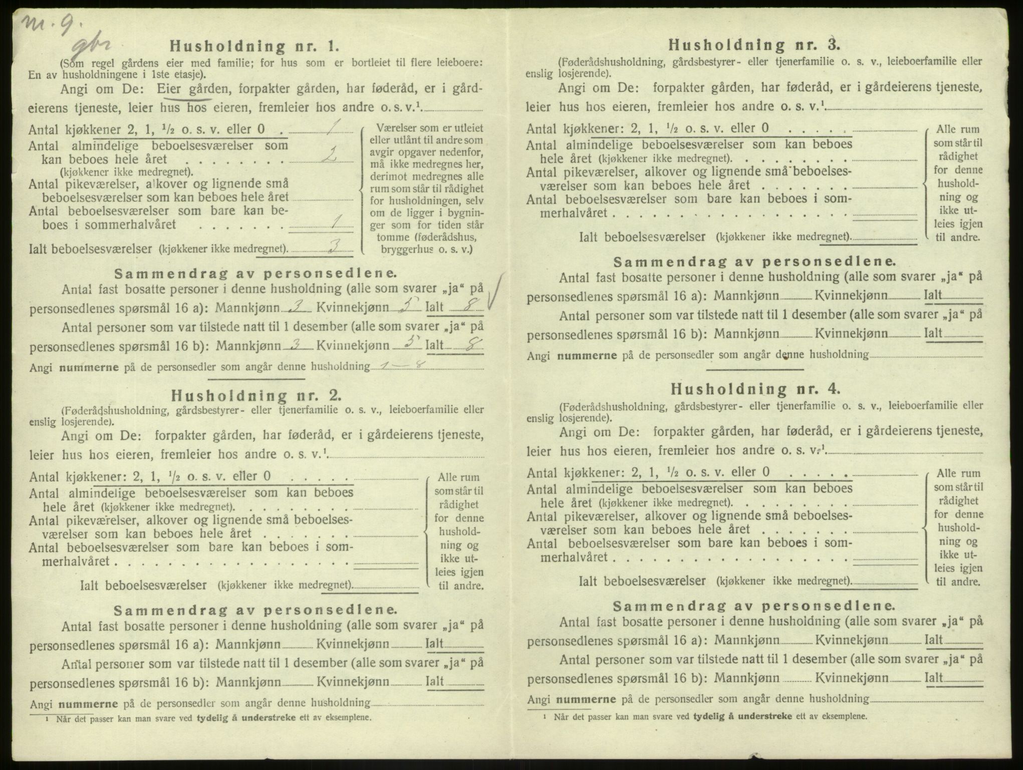 SAB, Folketelling 1920 for 1425 Hafslo herred, 1920, s. 160