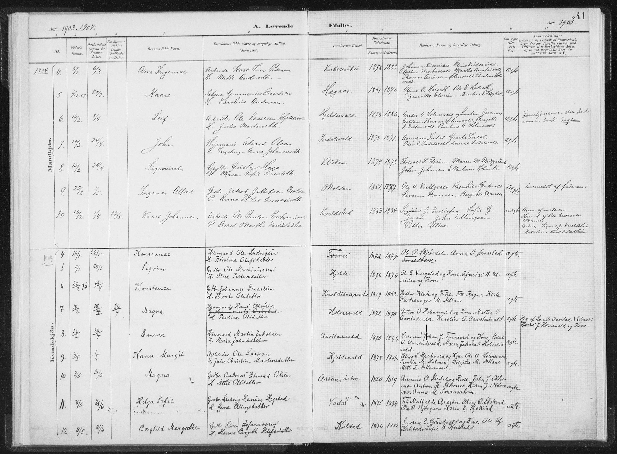Ministerialprotokoller, klokkerbøker og fødselsregistre - Nord-Trøndelag, SAT/A-1458/724/L0263: Ministerialbok nr. 724A01, 1891-1907, s. 41