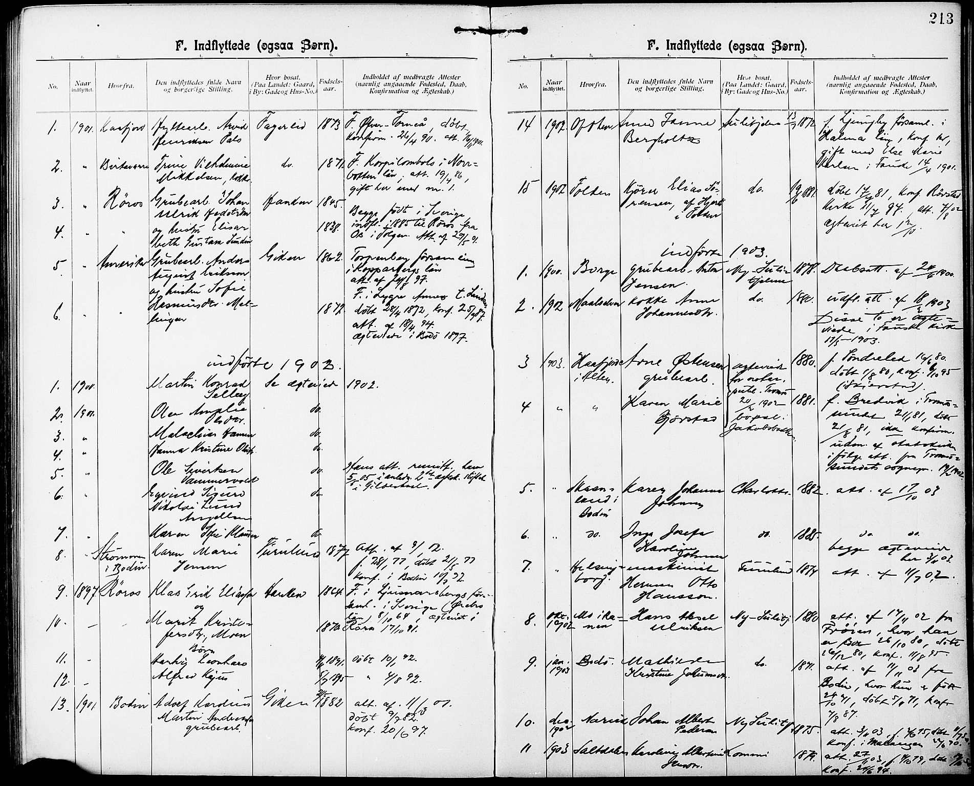Ministerialprotokoller, klokkerbøker og fødselsregistre - Nordland, AV/SAT-A-1459/850/L0709: Ministerialbok nr. 850A01, 1899-1909, s. 213
