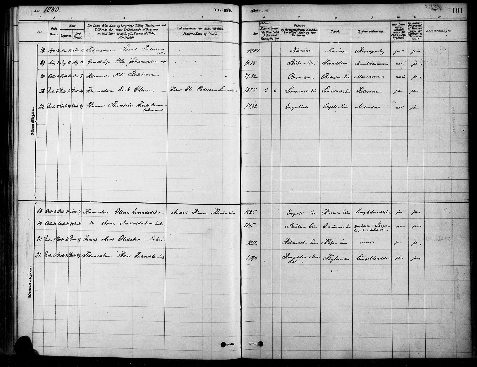 Søndre Land prestekontor, SAH/PREST-122/K/L0003: Ministerialbok nr. 3, 1878-1894, s. 191