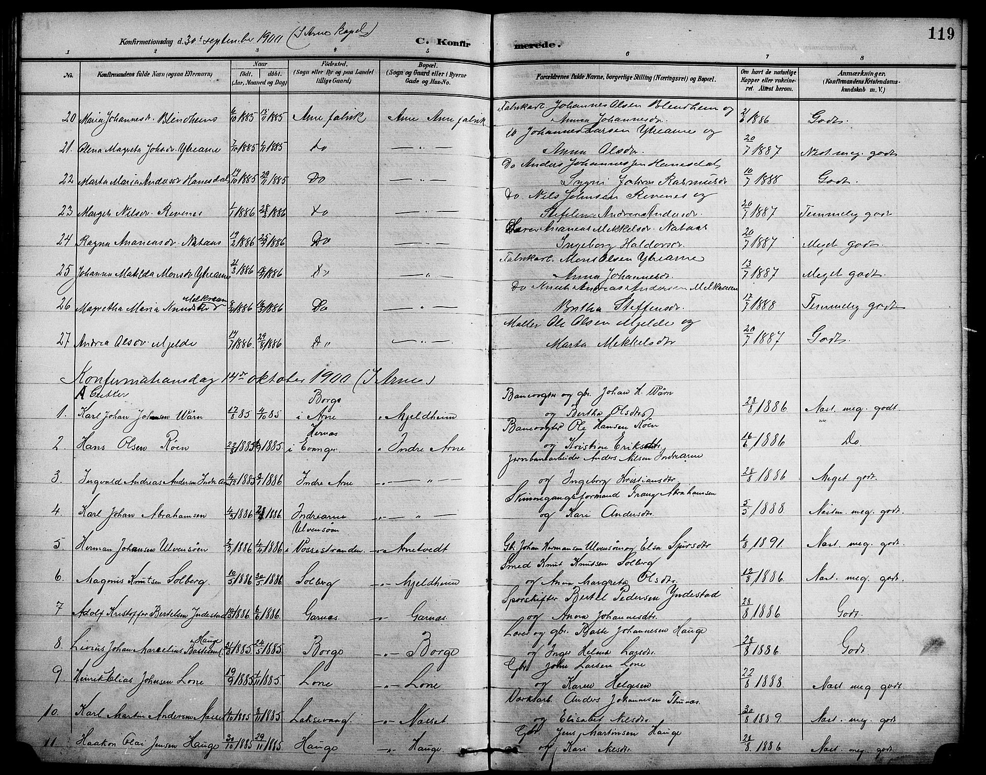 Arna sokneprestembete, AV/SAB-A-74001/H/Ha/Hab: Klokkerbok nr. A 4, 1898-1910, s. 119