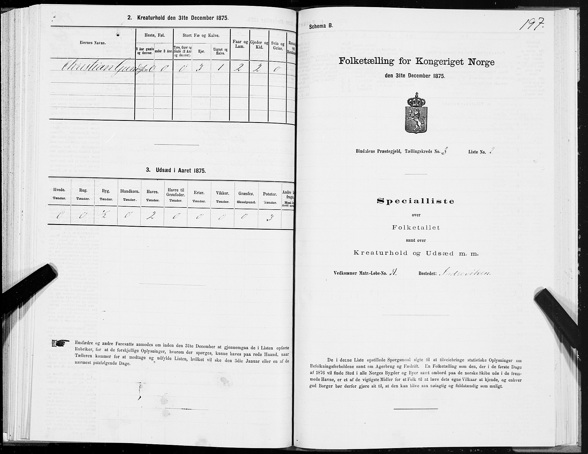 SAT, Folketelling 1875 for 1811P Bindal prestegjeld, 1875, s. 1197