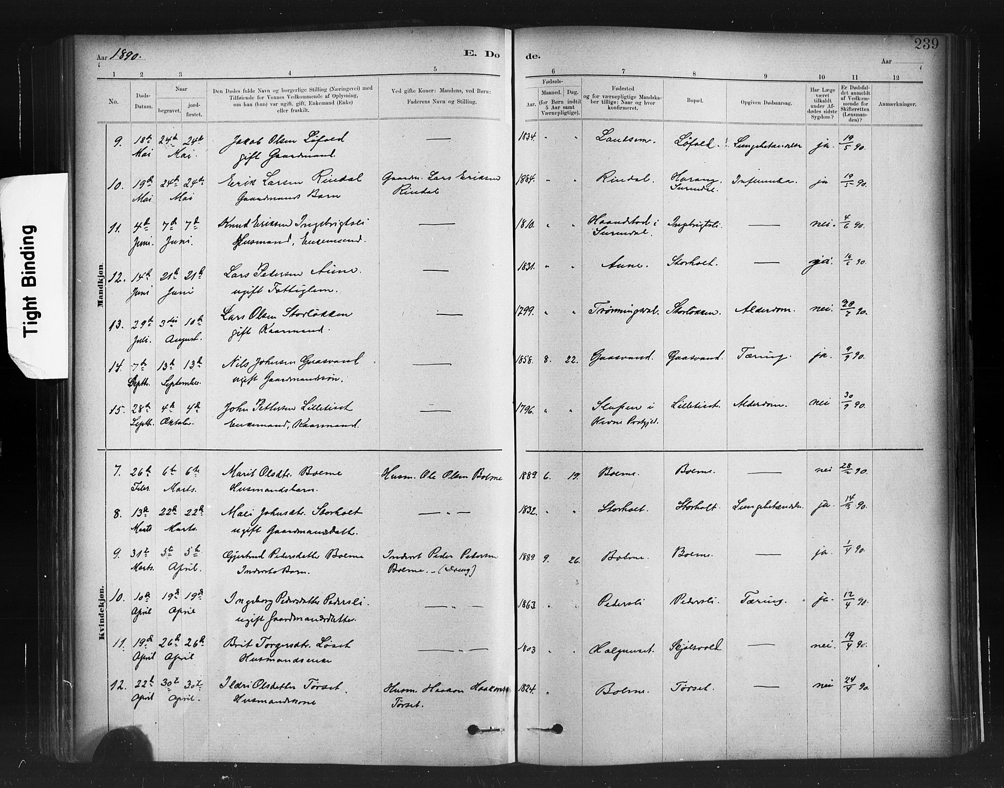 Ministerialprotokoller, klokkerbøker og fødselsregistre - Møre og Romsdal, AV/SAT-A-1454/598/L1069: Ministerialbok nr. 598A03, 1882-1895, s. 239