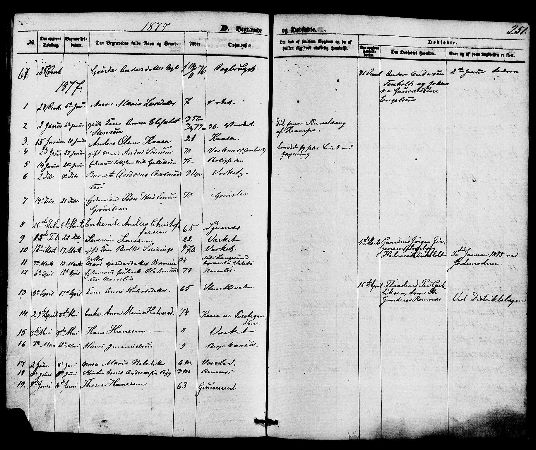 Holla kirkebøker, AV/SAKO-A-272/F/Fa/L0007: Ministerialbok nr. 7, 1869-1881, s. 251