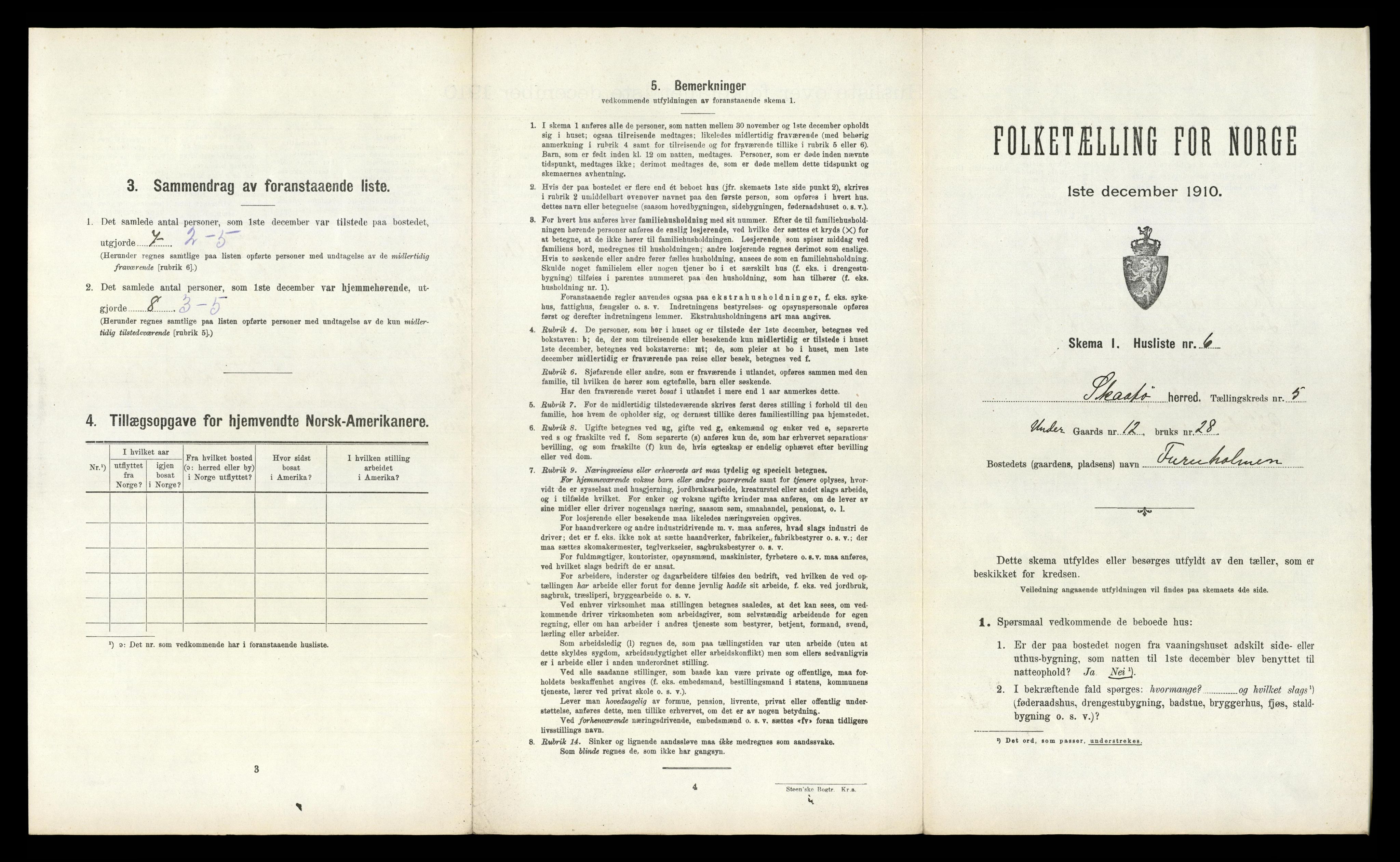 RA, Folketelling 1910 for 0815 Skåtøy herred, 1910, s. 505