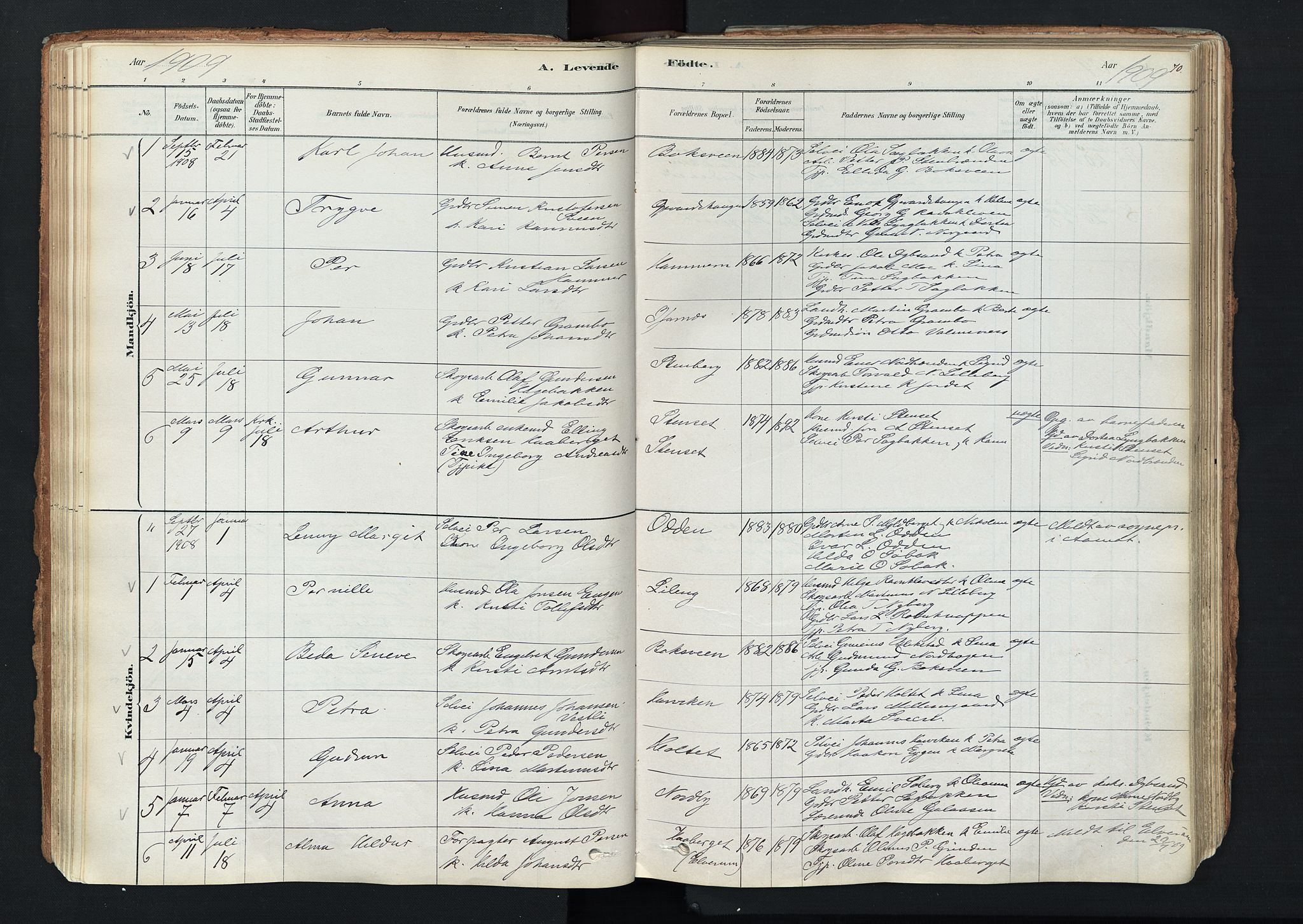 Trysil prestekontor, AV/SAH-PREST-046/H/Ha/Haa/L0011: Ministerialbok nr. 11, 1878-1912, s. 70