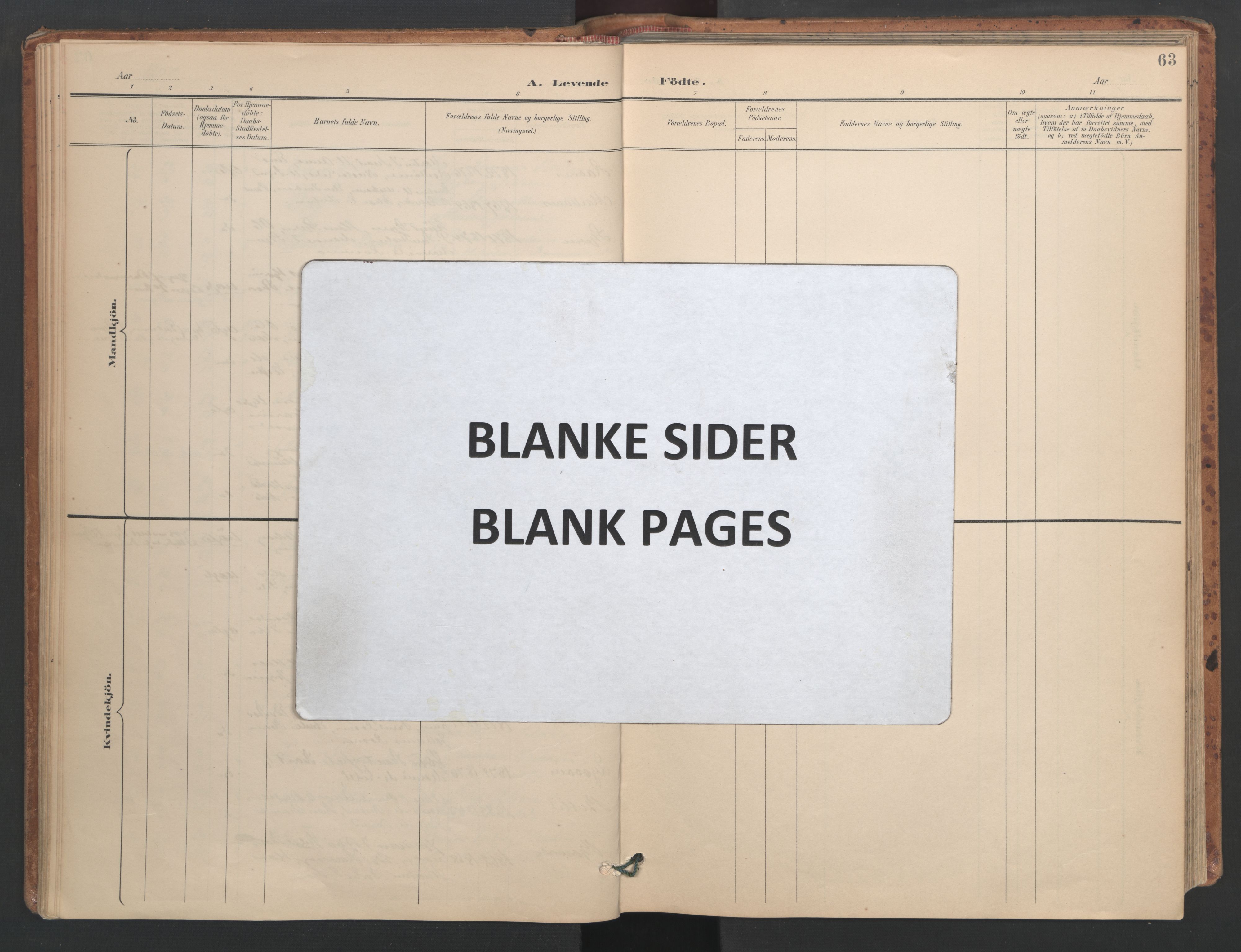Ministerialprotokoller, klokkerbøker og fødselsregistre - Sør-Trøndelag, AV/SAT-A-1456/655/L0681: Ministerialbok nr. 655A10, 1895-1907, s. 63