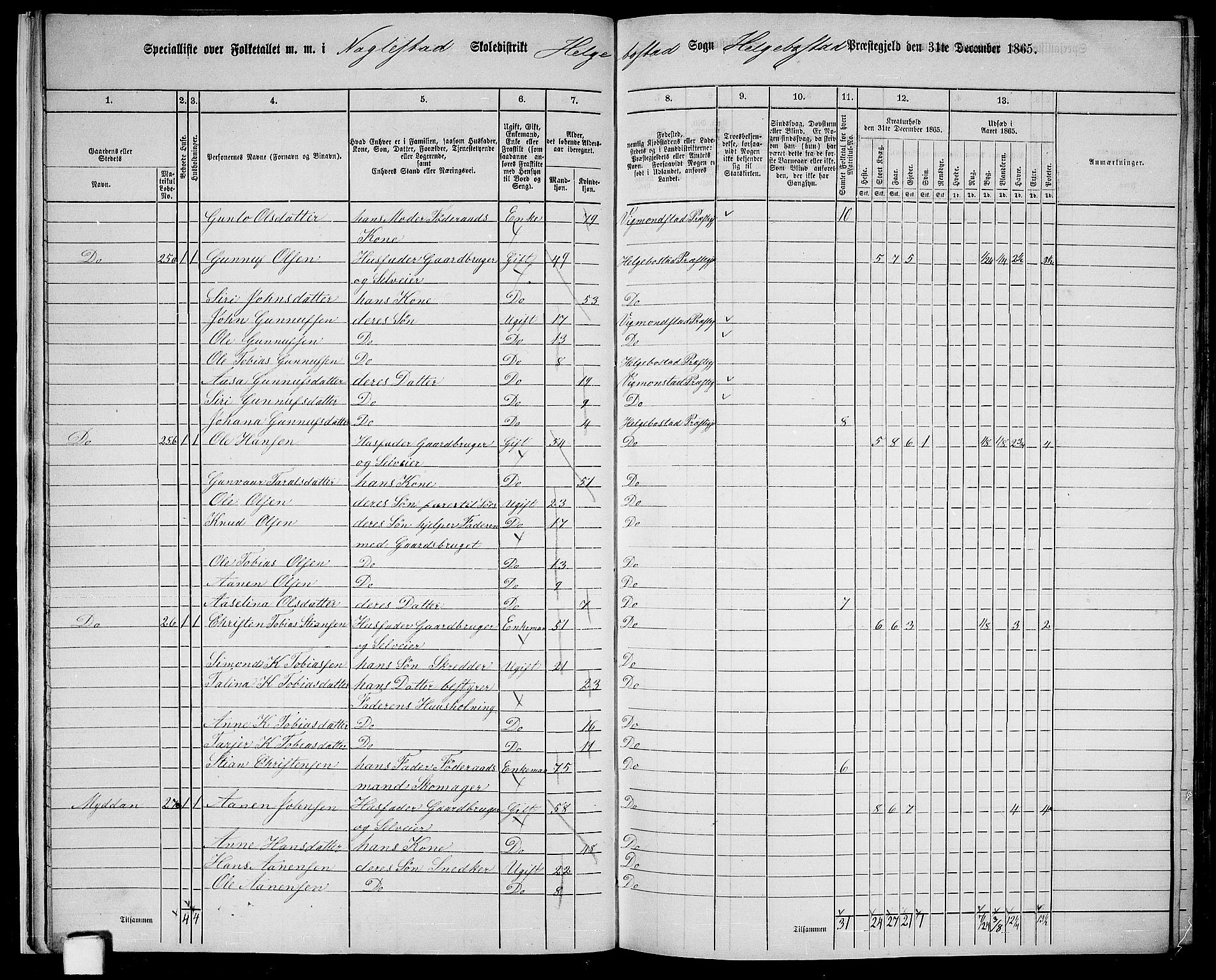 RA, Folketelling 1865 for 1034P Hægebostad prestegjeld, 1865, s. 17