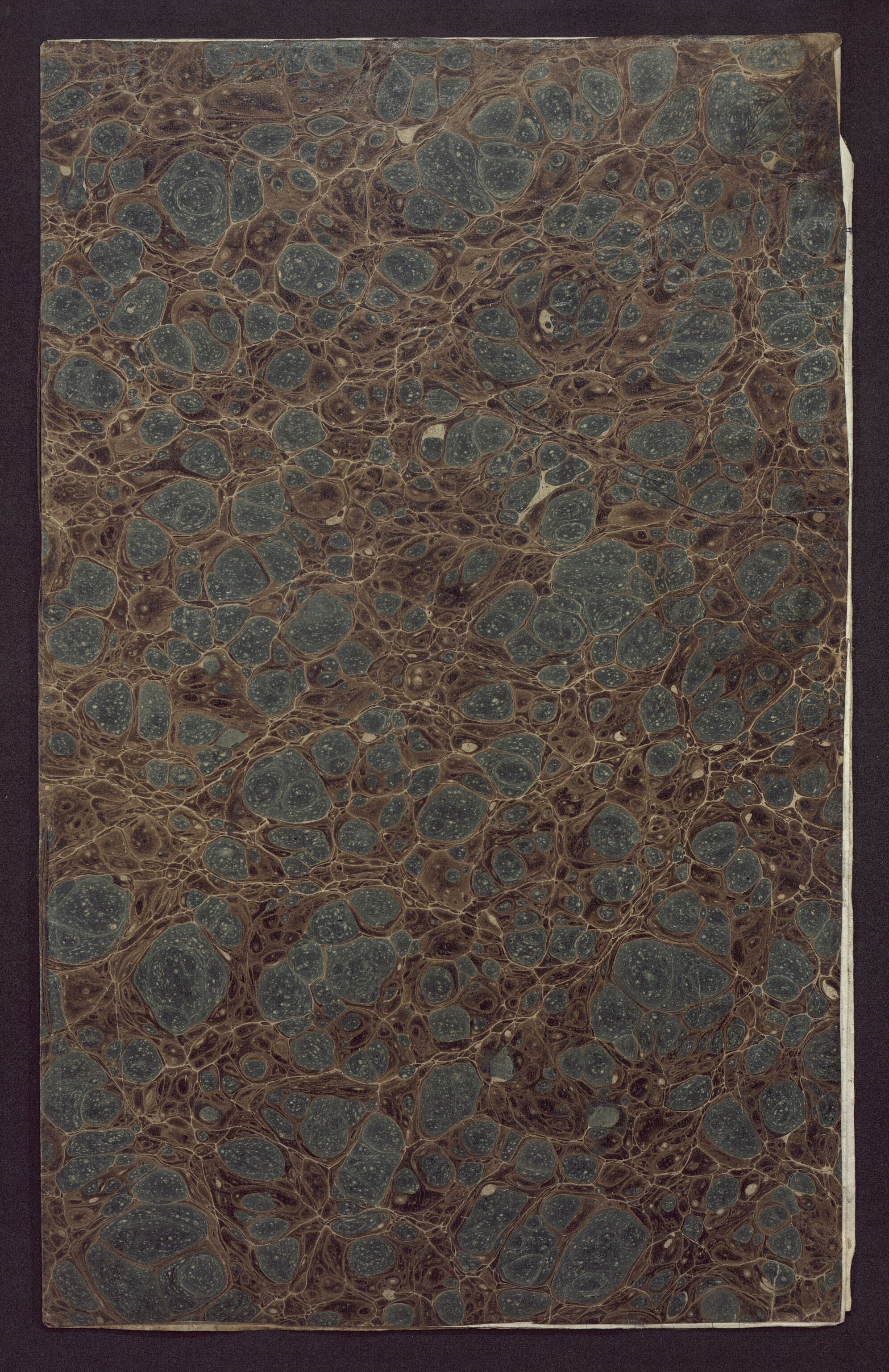 Borgervæpningen i Bergen, BBA/A-1301/F/Fa/L0002/0028: Manntall / 1844:  14. rode, 1844