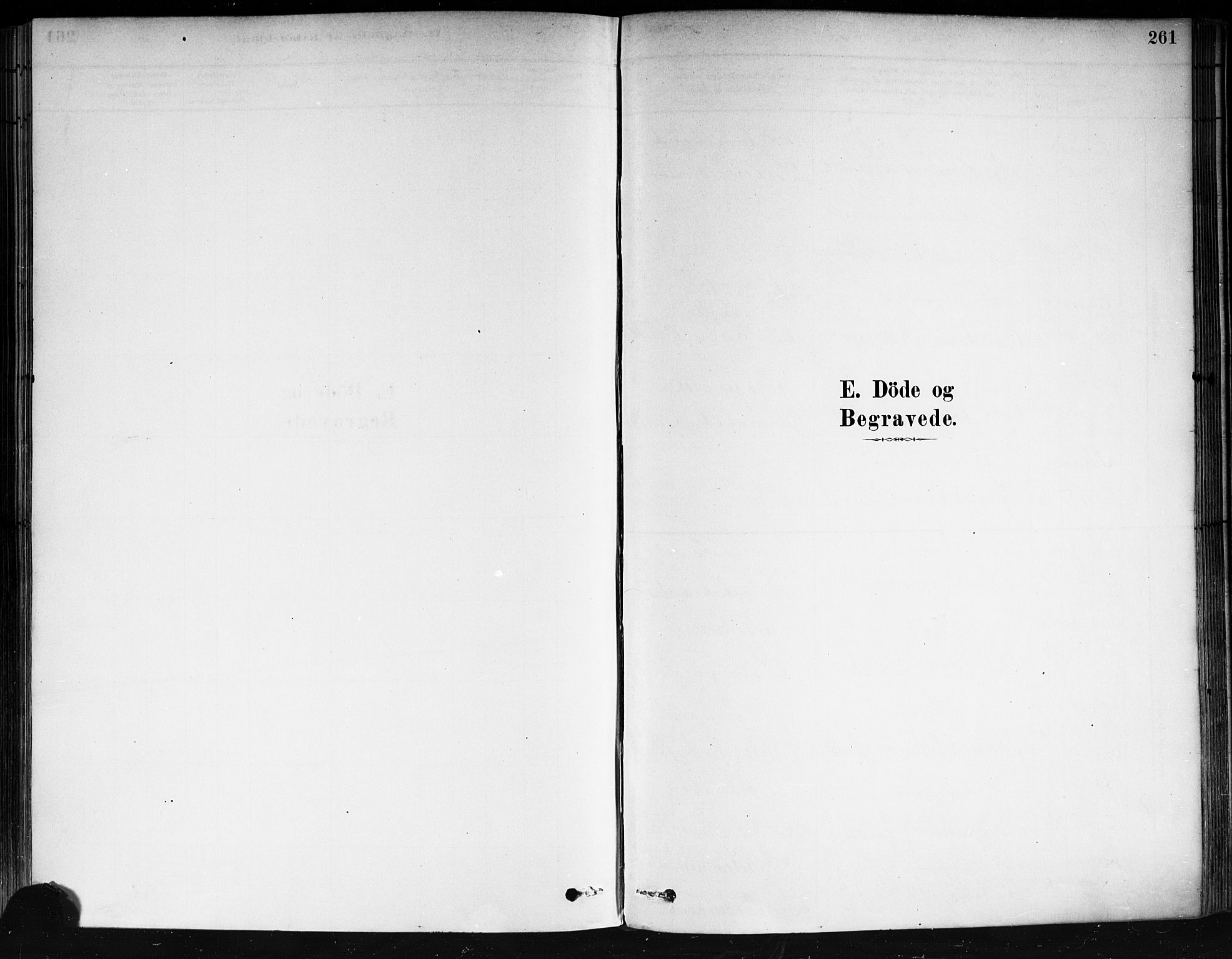 Strømsø kirkebøker, SAKO/A-246/F/Fa/L0021: Ministerialbok nr. I 21, 1878-1885, s. 261