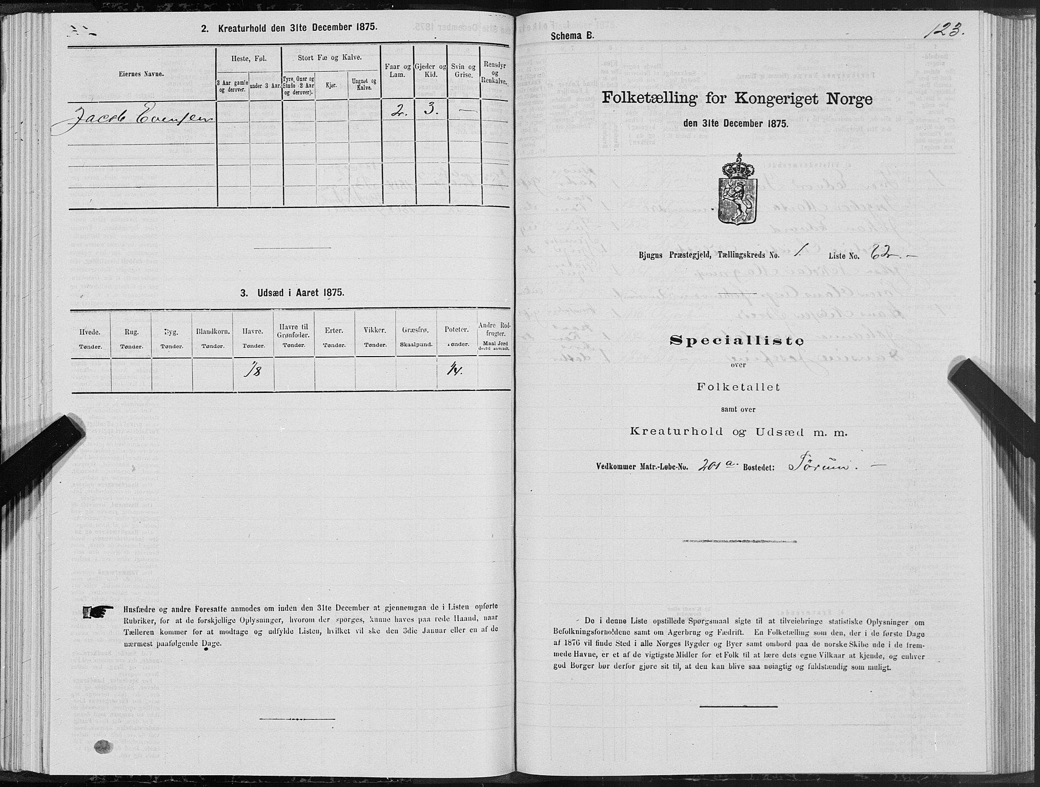 SAT, Folketelling 1875 for 1627P Bjugn prestegjeld, 1875, s. 1123