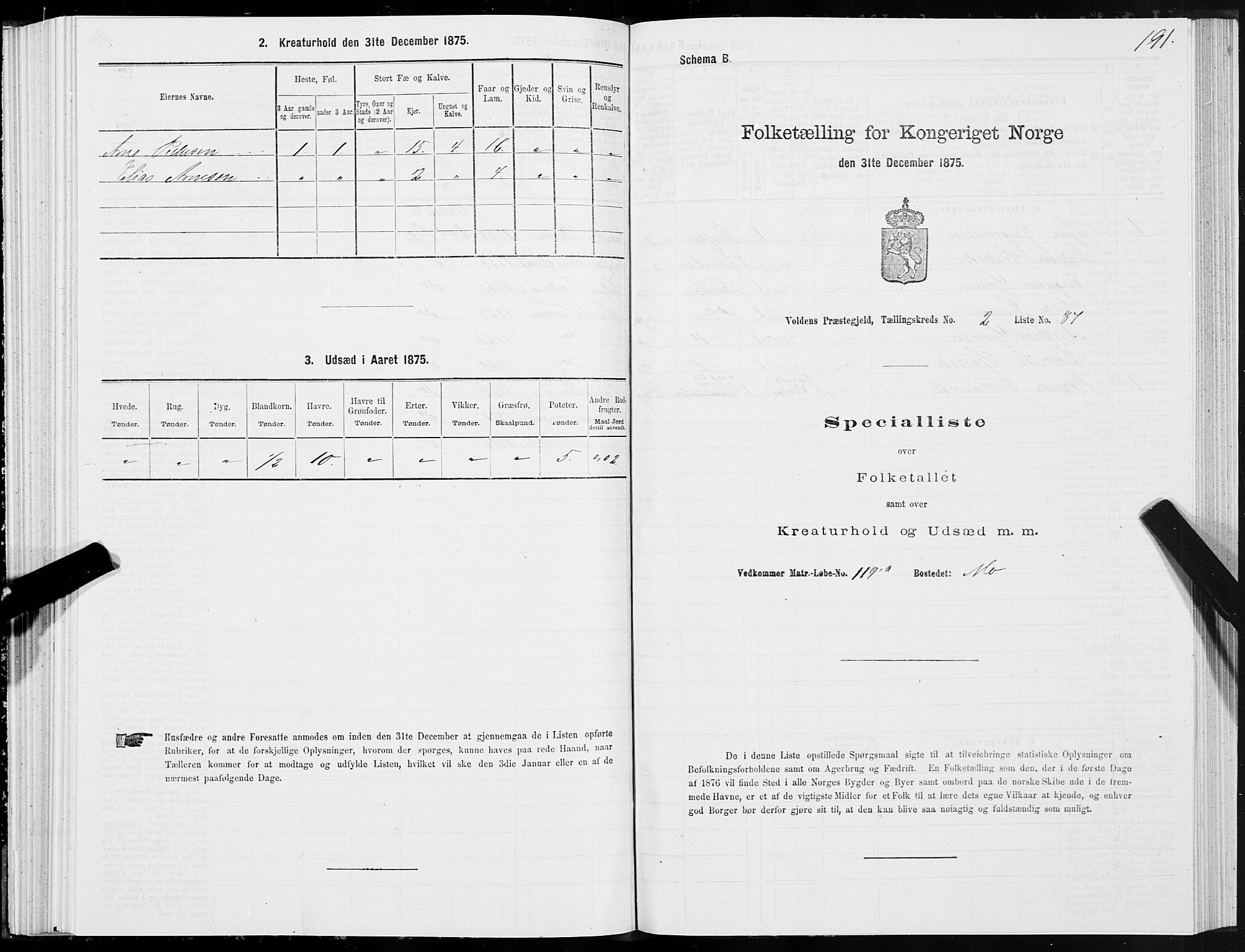 SAT, Folketelling 1875 for 1519P Volda prestegjeld, 1875, s. 2191