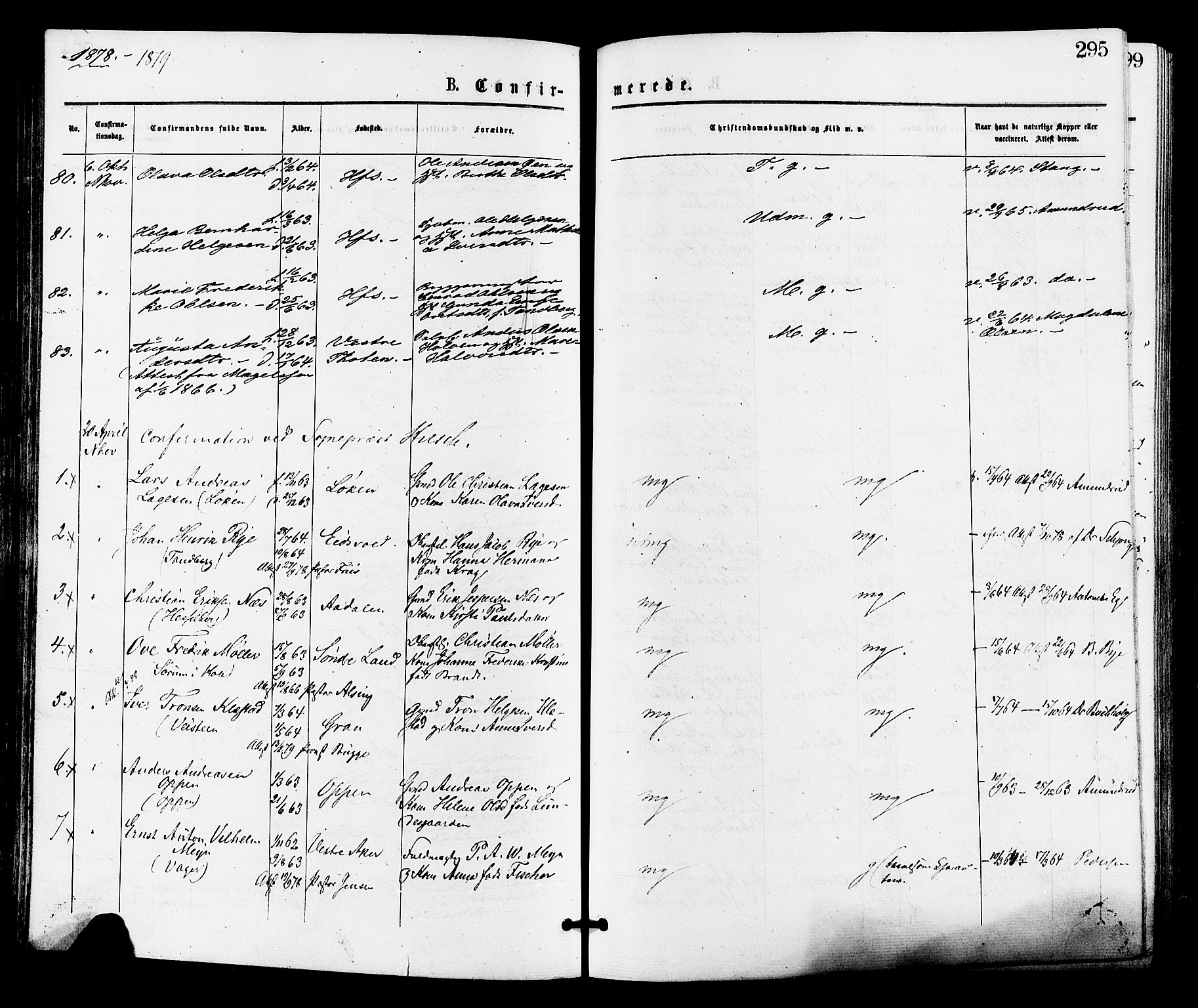 Norderhov kirkebøker, AV/SAKO-A-237/F/Fa/L0015: Ministerialbok nr. 15, 1875-1884, s. 295