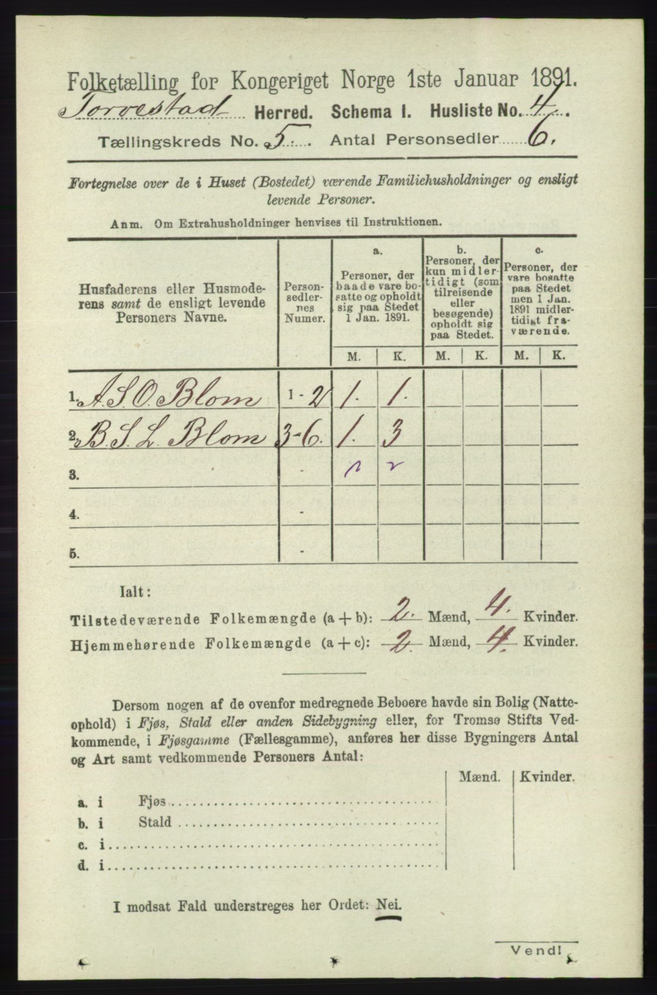 RA, Folketelling 1891 for 1152 Torvastad herred, 1891, s. 1729