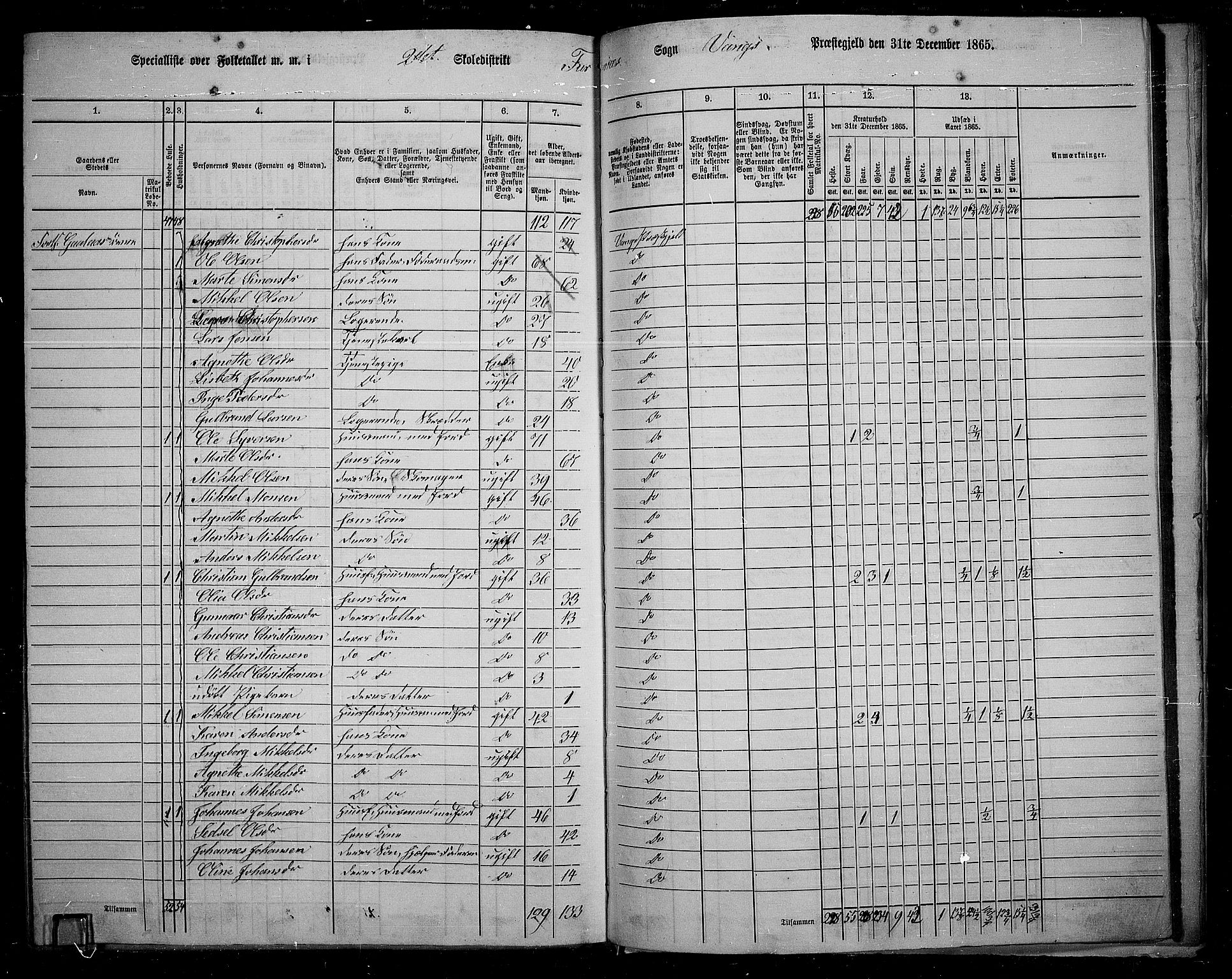 RA, Folketelling 1865 for 0414L Vang prestegjeld, Vang sokn og Furnes sokn, 1865, s. 129