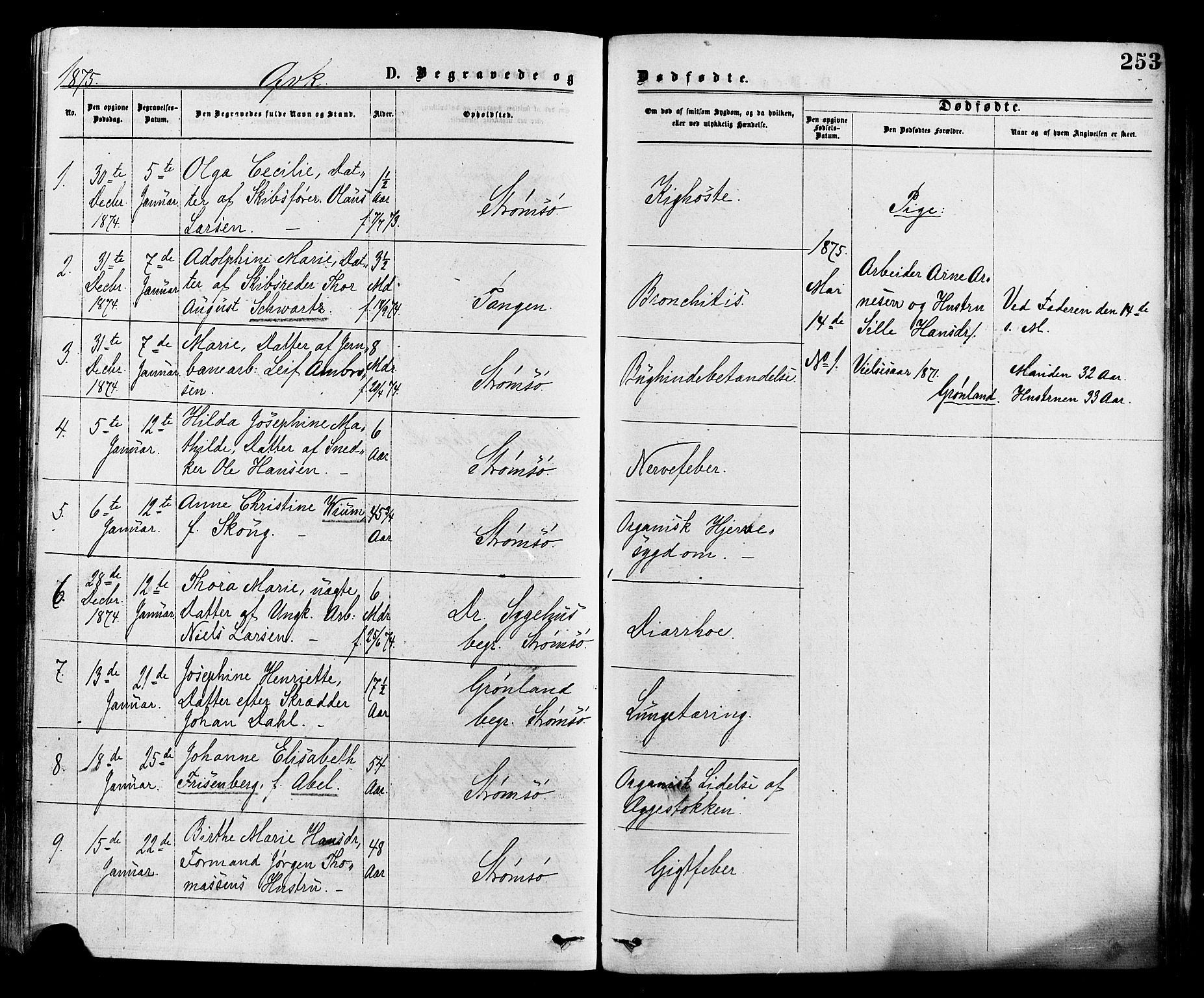 Strømsø kirkebøker, AV/SAKO-A-246/F/Fa/L0019: Ministerialbok nr. I 19, 1874-1877, s. 253