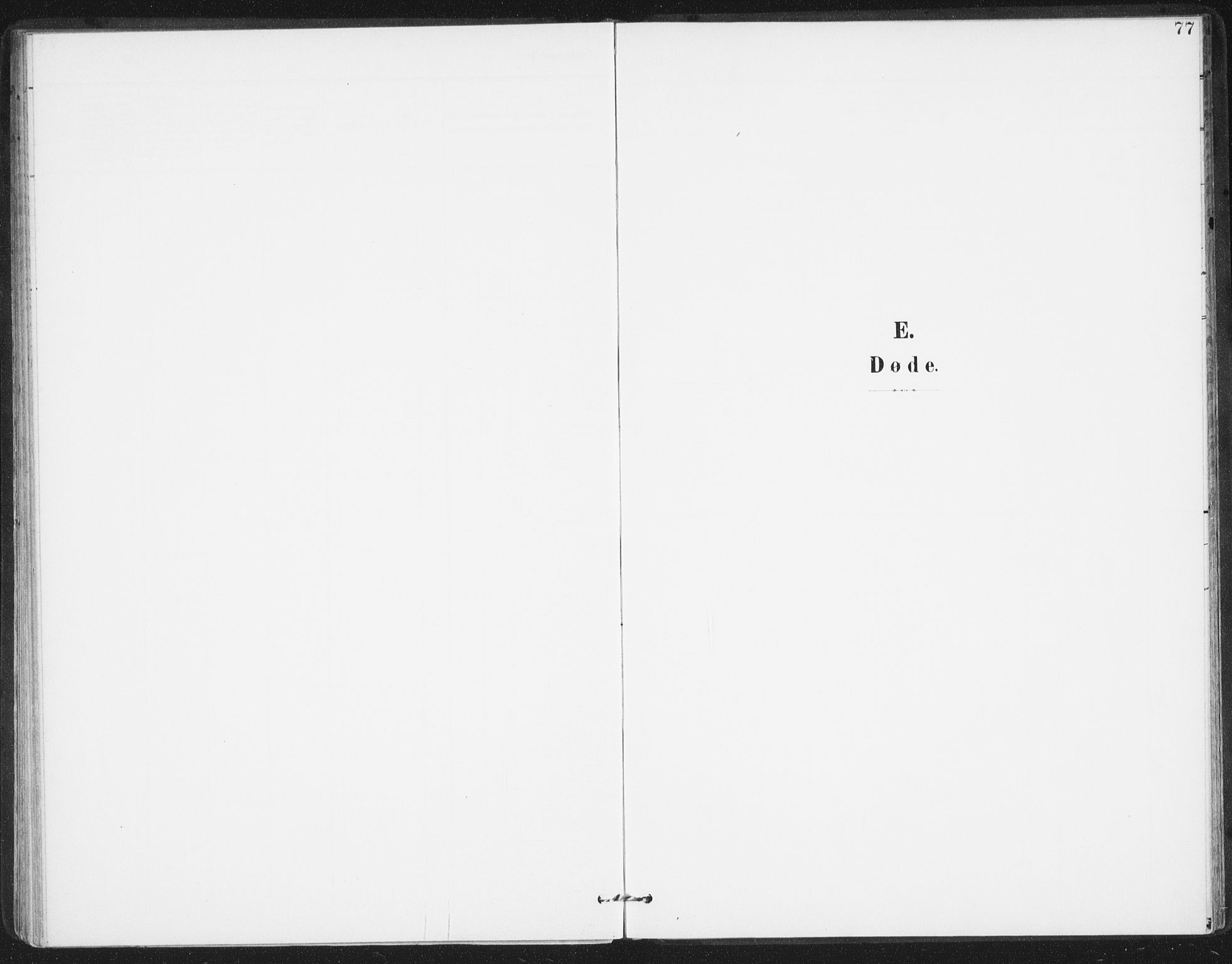 Ministerialprotokoller, klokkerbøker og fødselsregistre - Nordland, SAT/A-1459/811/L0167: Ministerialbok nr. 811A04, 1899-1913, s. 77
