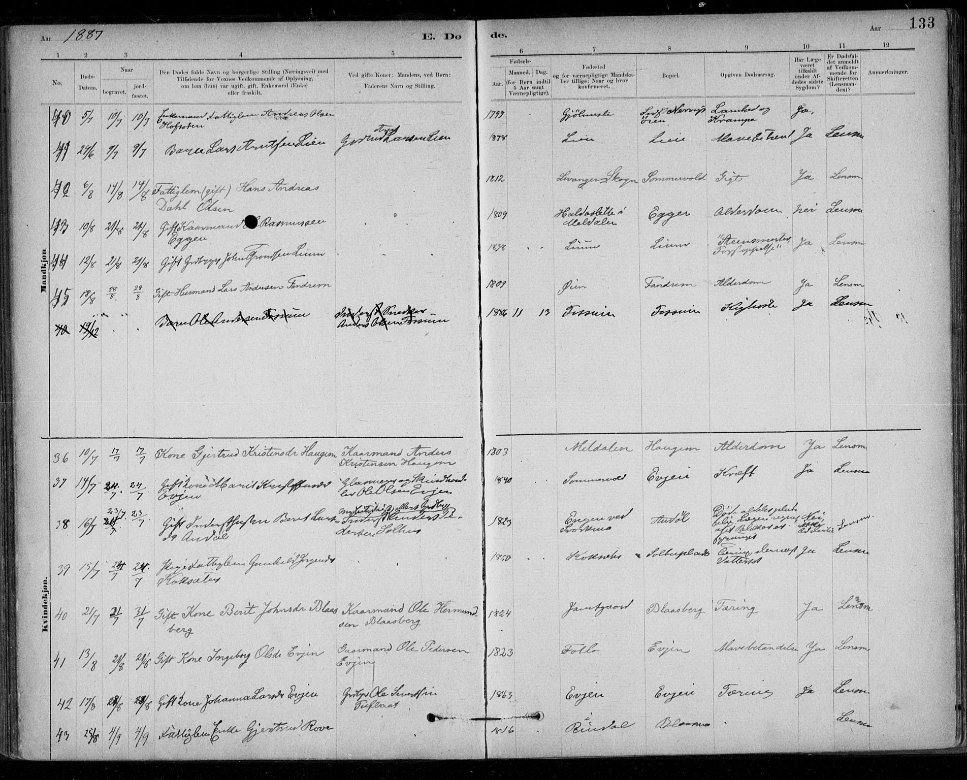 Ministerialprotokoller, klokkerbøker og fødselsregistre - Sør-Trøndelag, AV/SAT-A-1456/668/L0810: Ministerialbok nr. 668A10, 1881-1894, s. 133