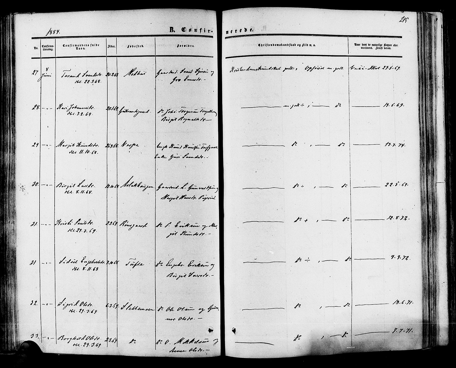 Hol kirkebøker, SAKO/A-227/F/Fa/L0002: Ministerialbok nr. I 2, 1870-1886, s. 215